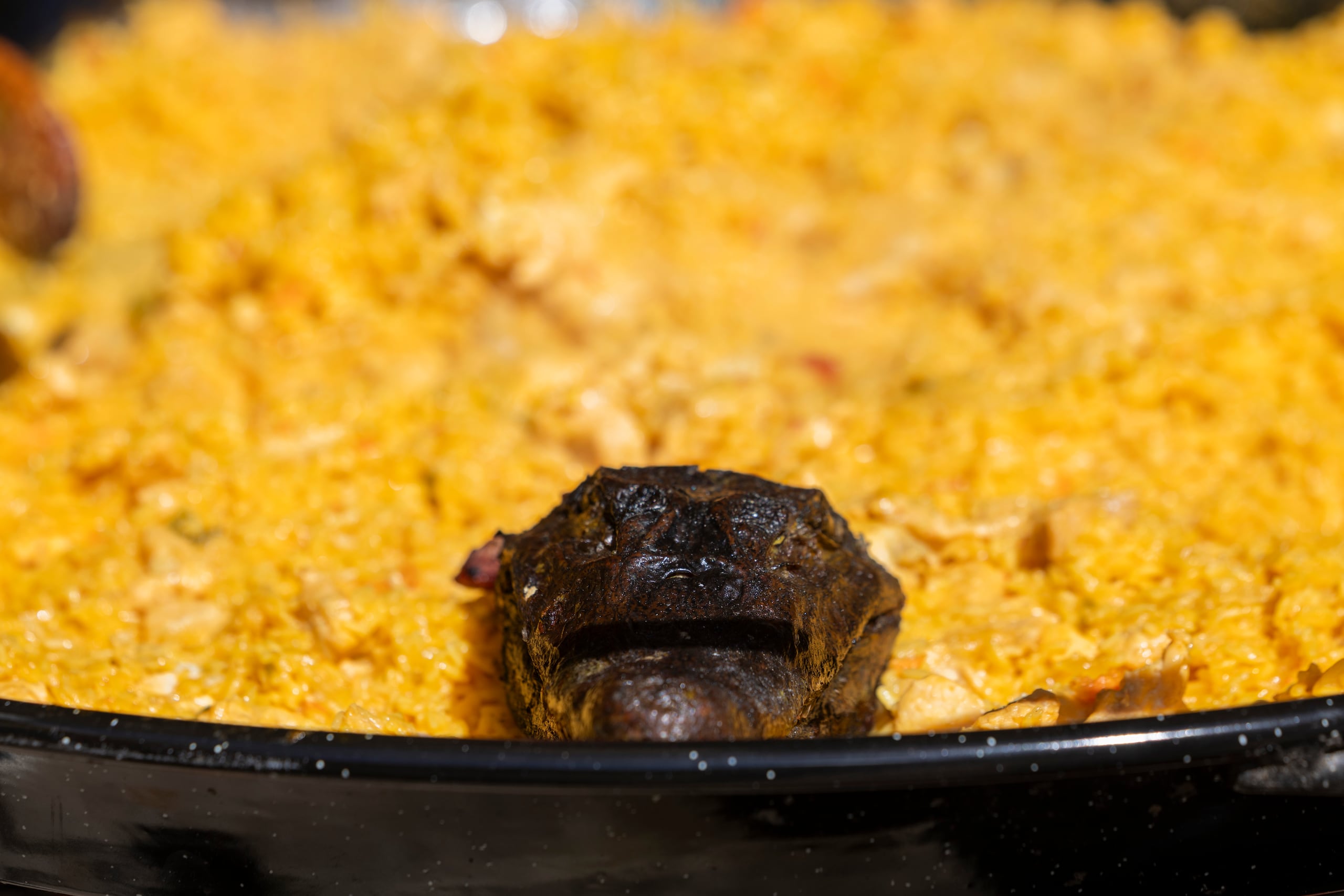 En Vega Baja se celebra un festival gastronómico dedicado a la carne de caimán.