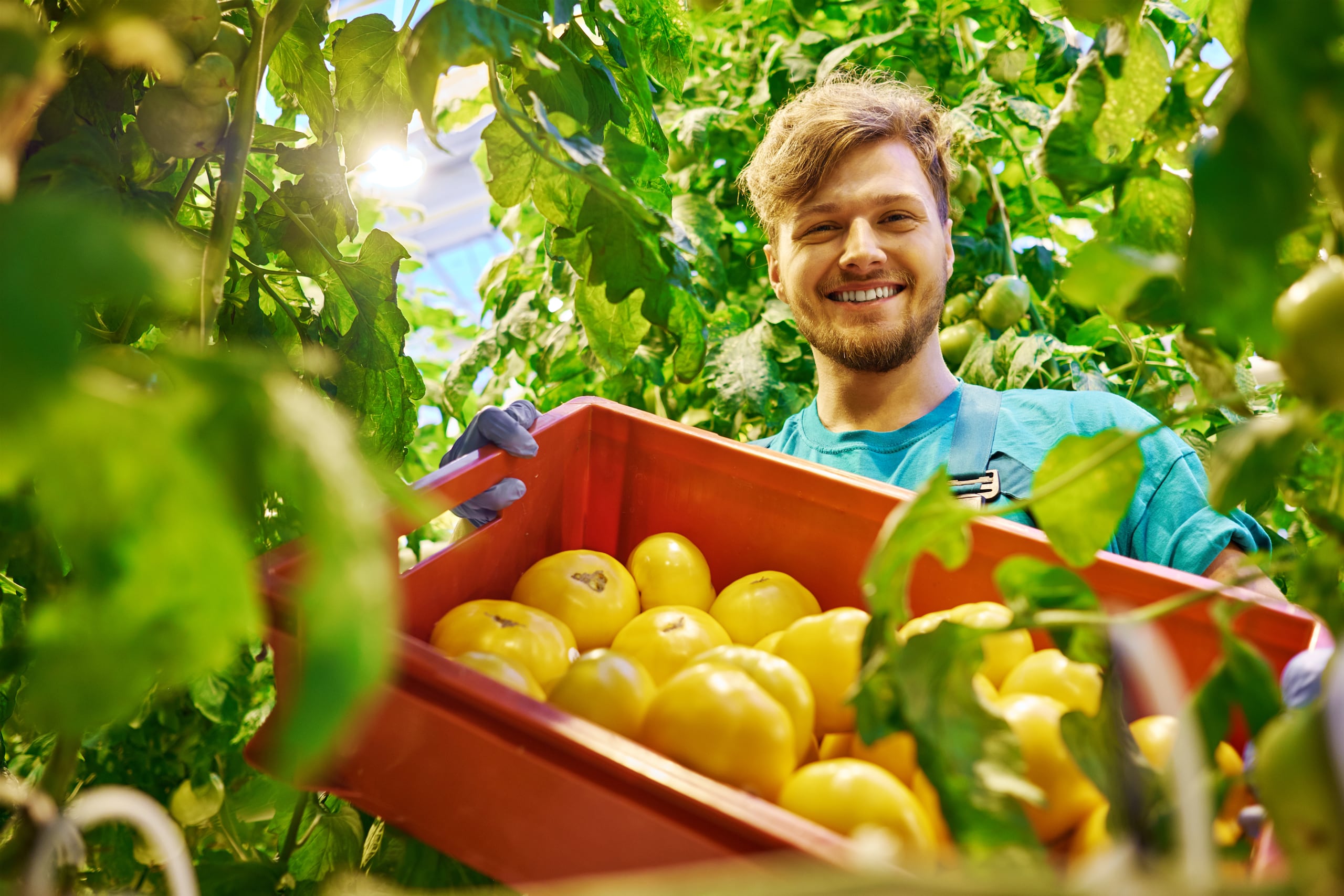 Supermercados Selectos lidera un acuerdo multisectorial que busca fomentar medidas que ayuden a detener la pérdida de terrenos agrícolas, replicar programas exitosos de agricultura en las escuelas y revisar la Ley Contributiva para estimular la producción de las tierras.