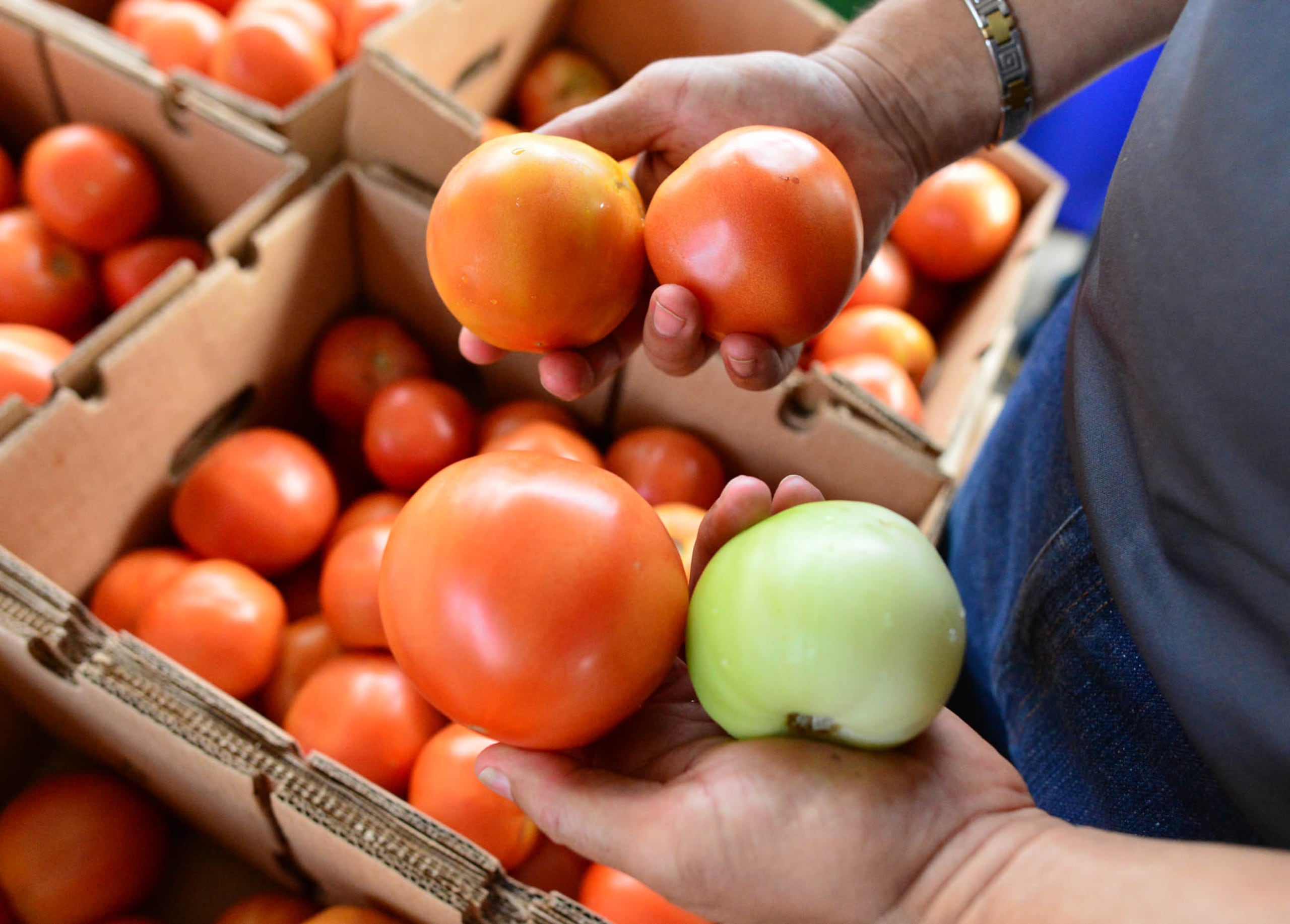 El arancel tiene origen en una añeja queja de Estados Unidos en torno a las exportaciones de tomate desde México, y es independiente al arancel base del 30% sobre productos fabricados en México y la Unión Europea que el presidente Donald Trump anunció el sábado.