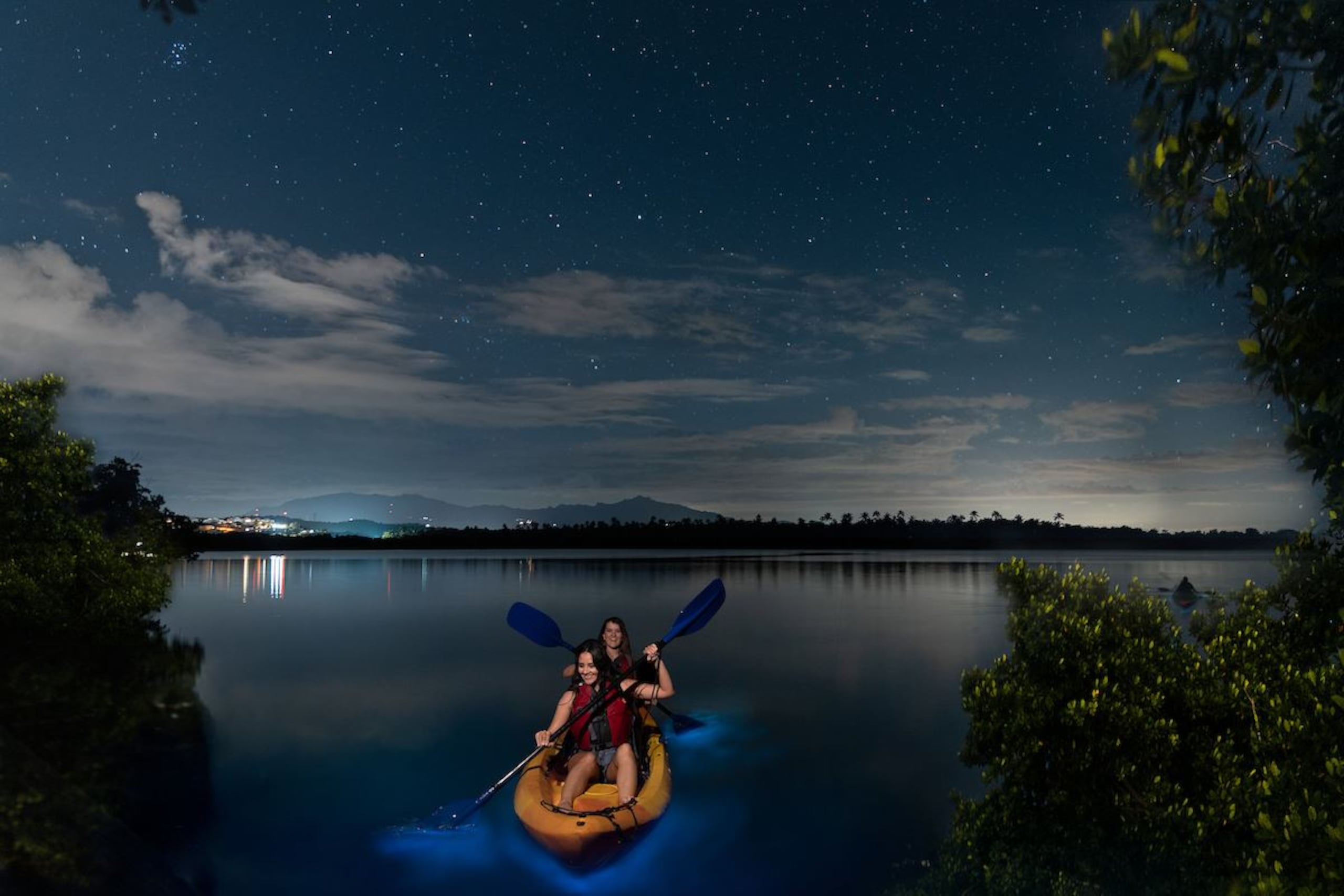 El “Pyrodinium bahamense var. bahamense” es el principal organismo que se encarga de hacer que las noches en Vieques brillen con la bioluminiscencia de la bahía.