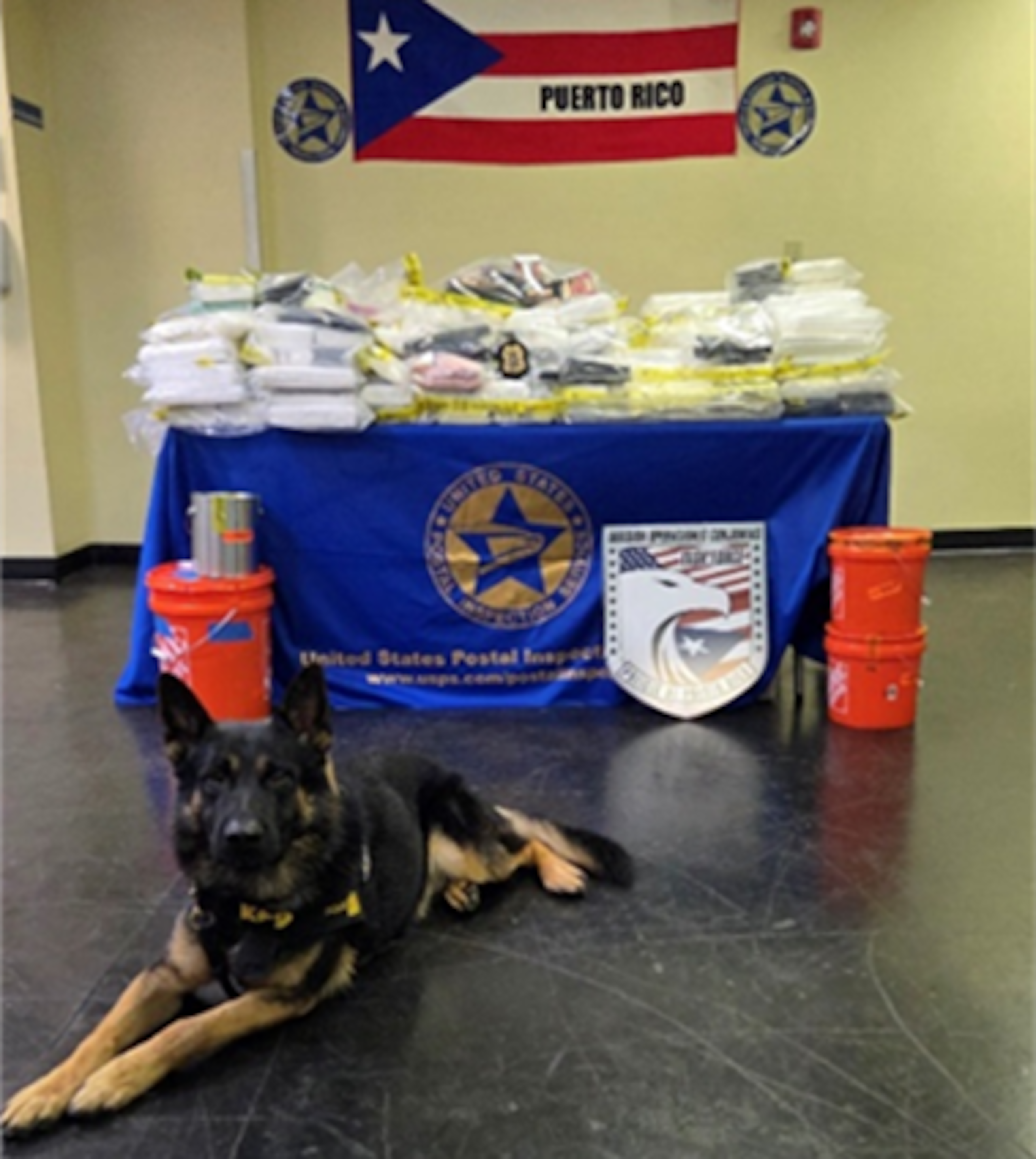 El operativo, denominado “Operación Gatekeeper 3.0”, es parte de la iniciativa “Take America Back”.