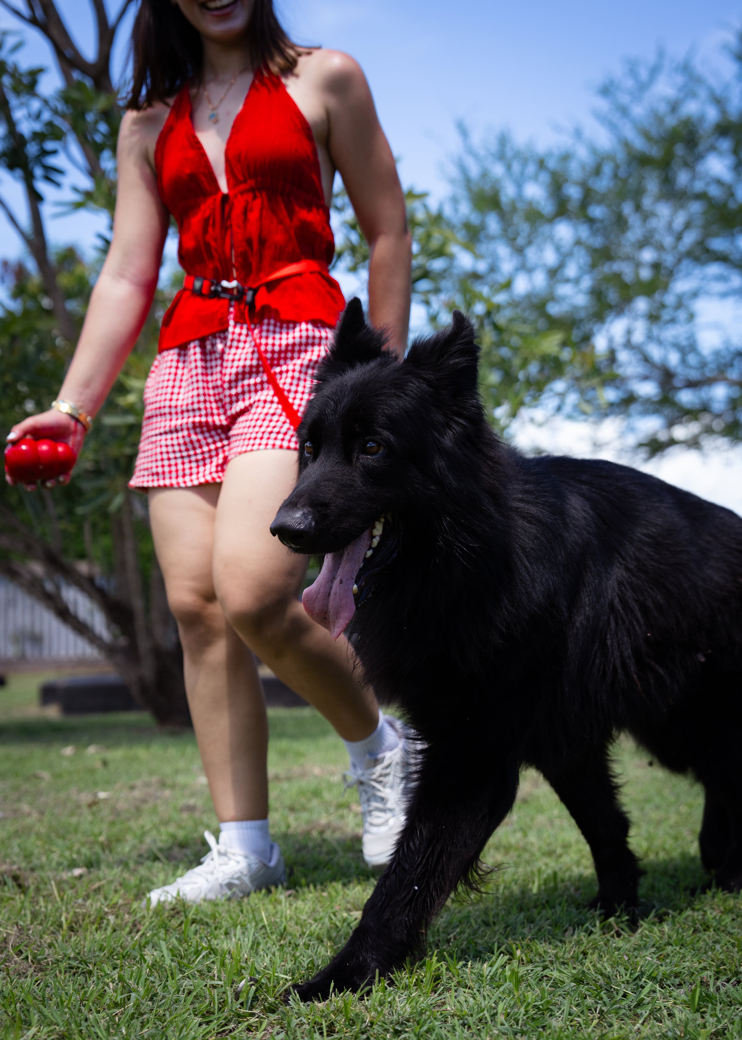 Volk simboliza el valor del compañerismo dentro de la iniciativa de Toy Doggie y Luving Paws Foundation, que busca cambiar la percepción pública sobre las mascotas rescatadas.