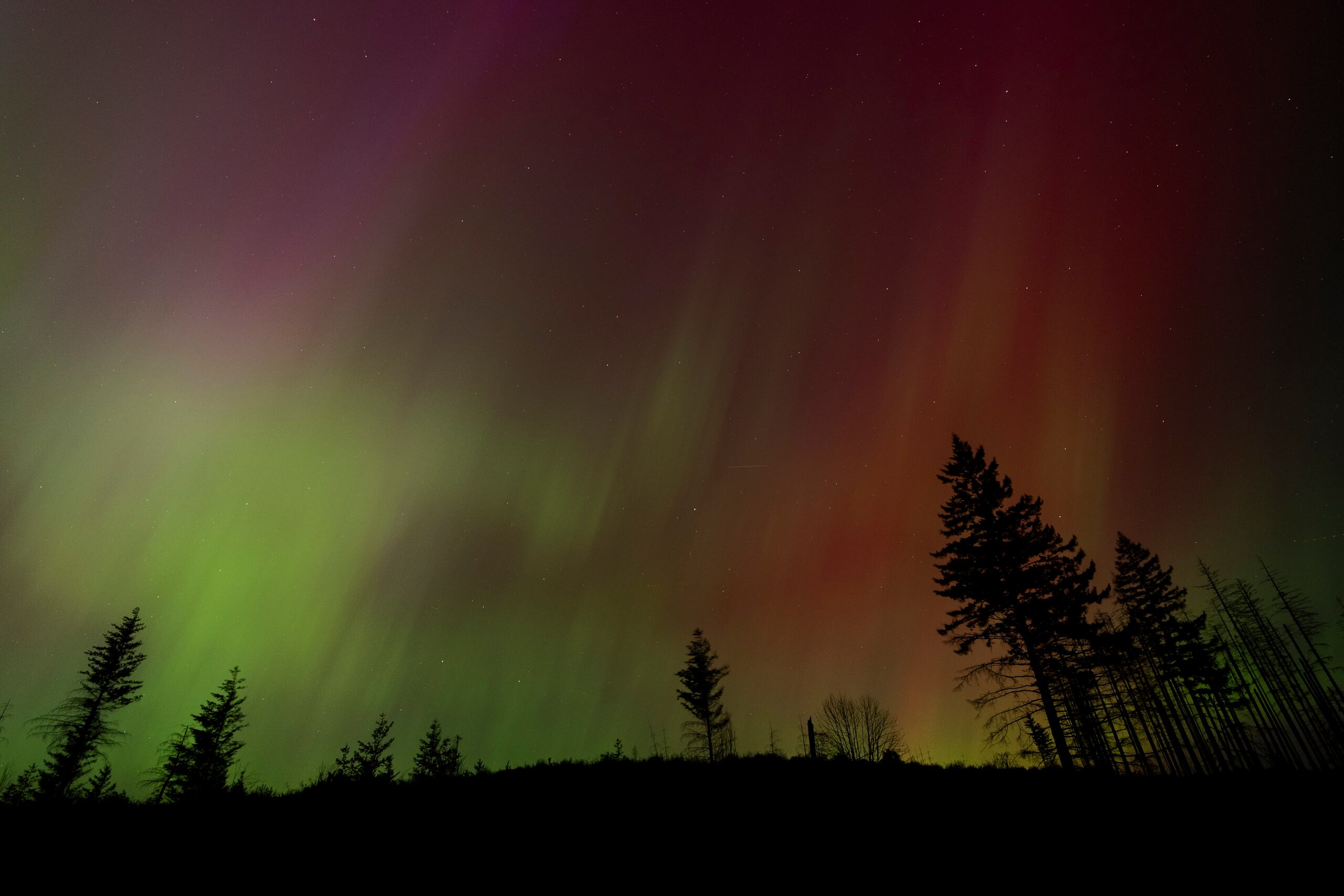 Es probable que la aurora pueda resultar visible ese domingo en gran parte de la mitad norte del país y tal vez hasta el sur, desde Alabama hasta el norte de California, según la NOAA.