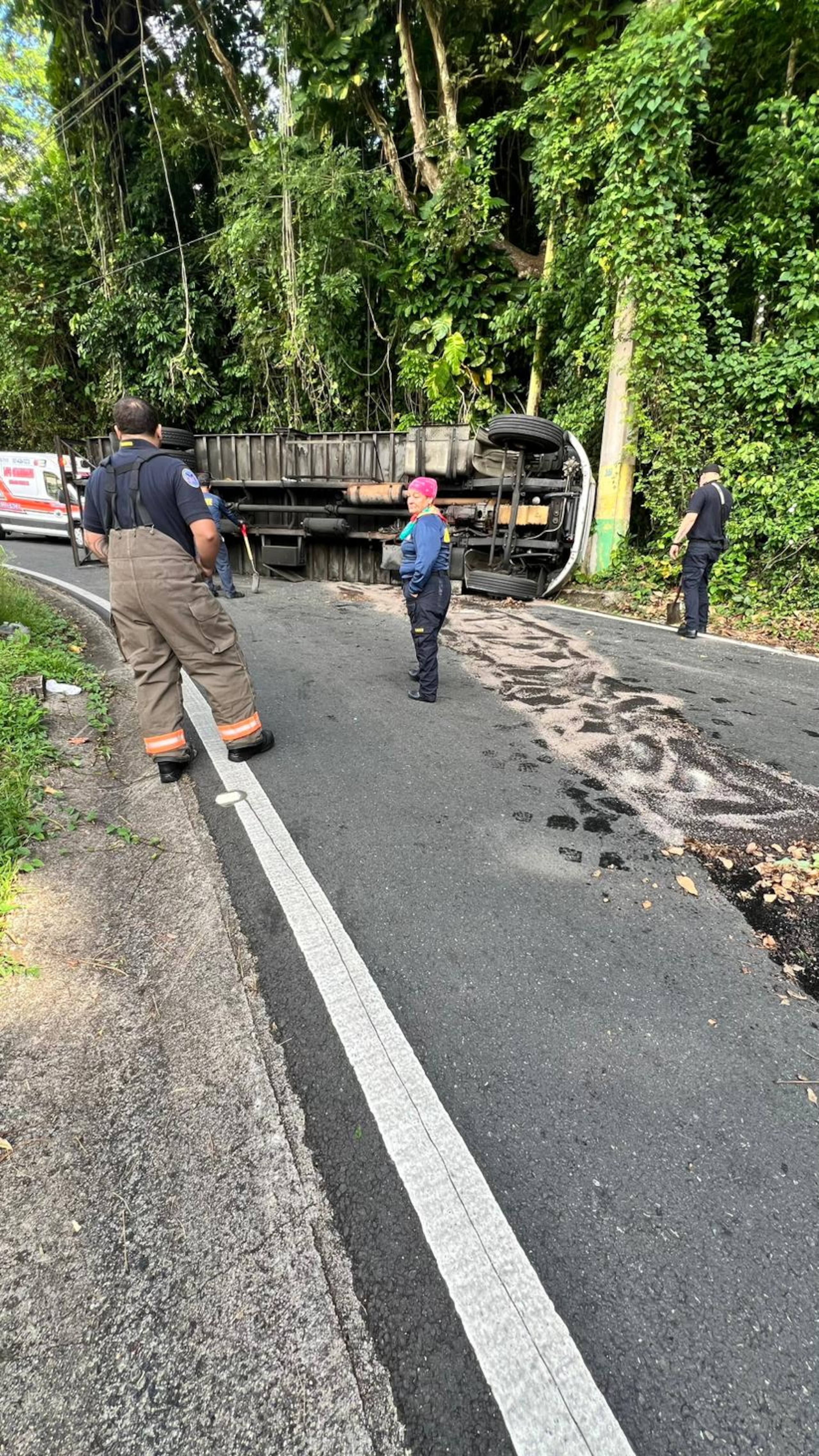 El conductor y el pasajero de un camión de la compañía José Santiago resultaron heridos tras volcarse en carretera PR-780 del barrio Doña Elena, en Comerío.