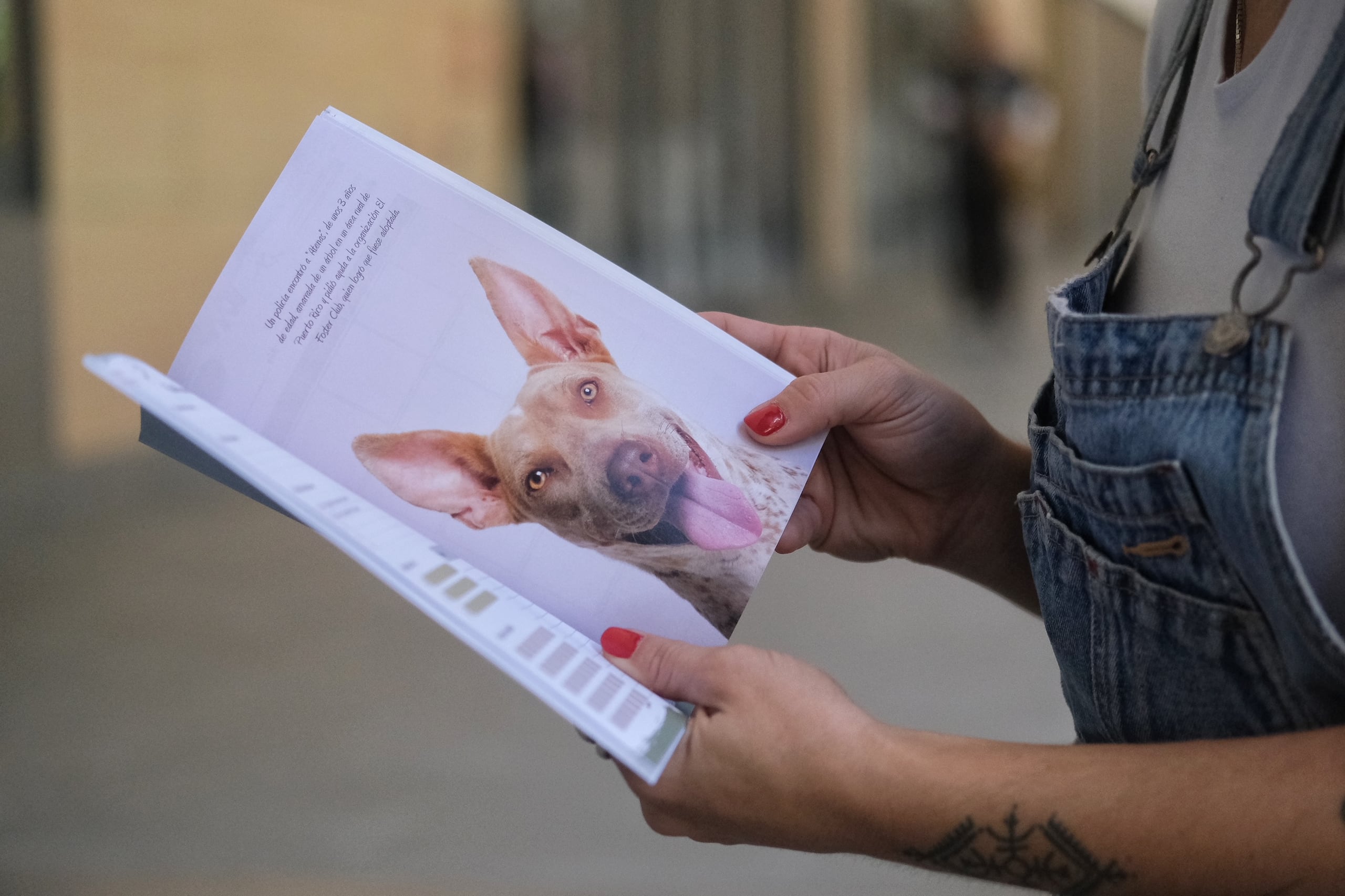 Parte de sus ventas van dirigidas a apoyar diversas organizaciones sin fines de lucro que abogan por el bienestar animal.