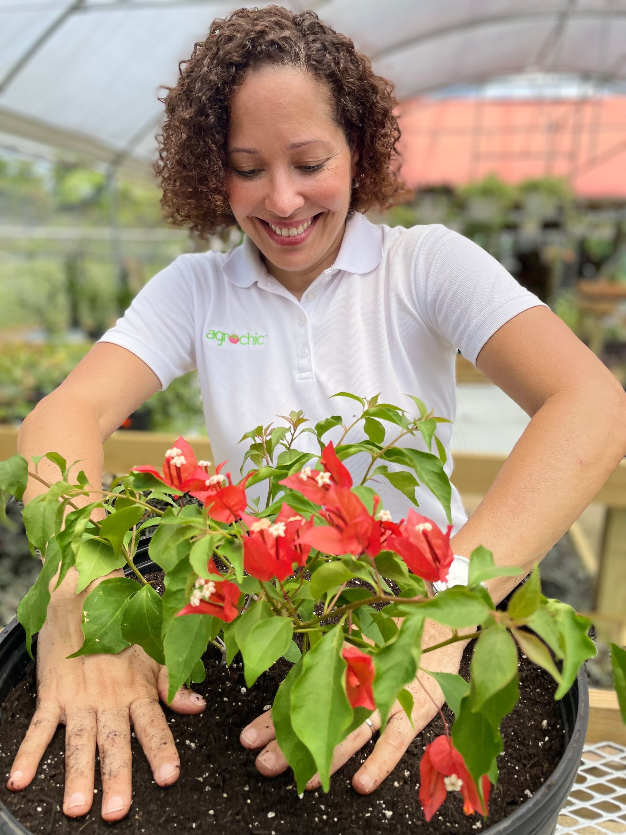 Los talleres son ofrecidos por las tiendas National Lumber.