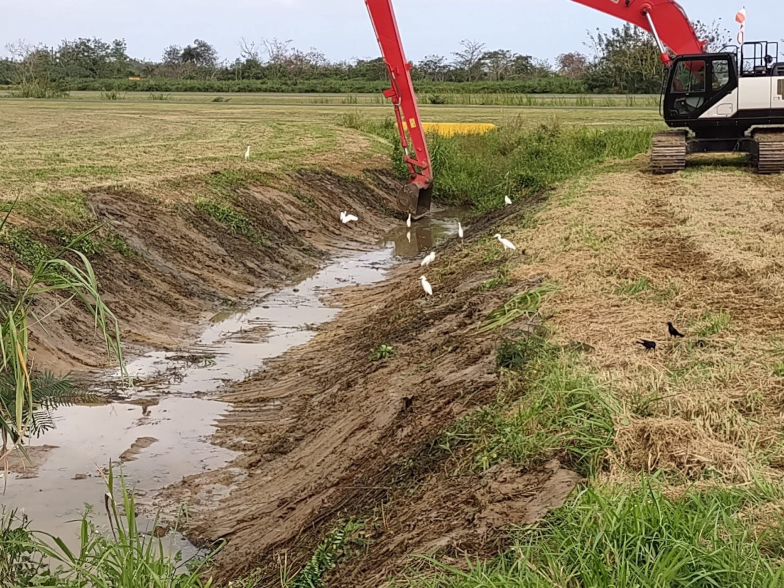 Las labores de recogido de escombros y material vegetativo se llevaron a cabo la semana pasada.