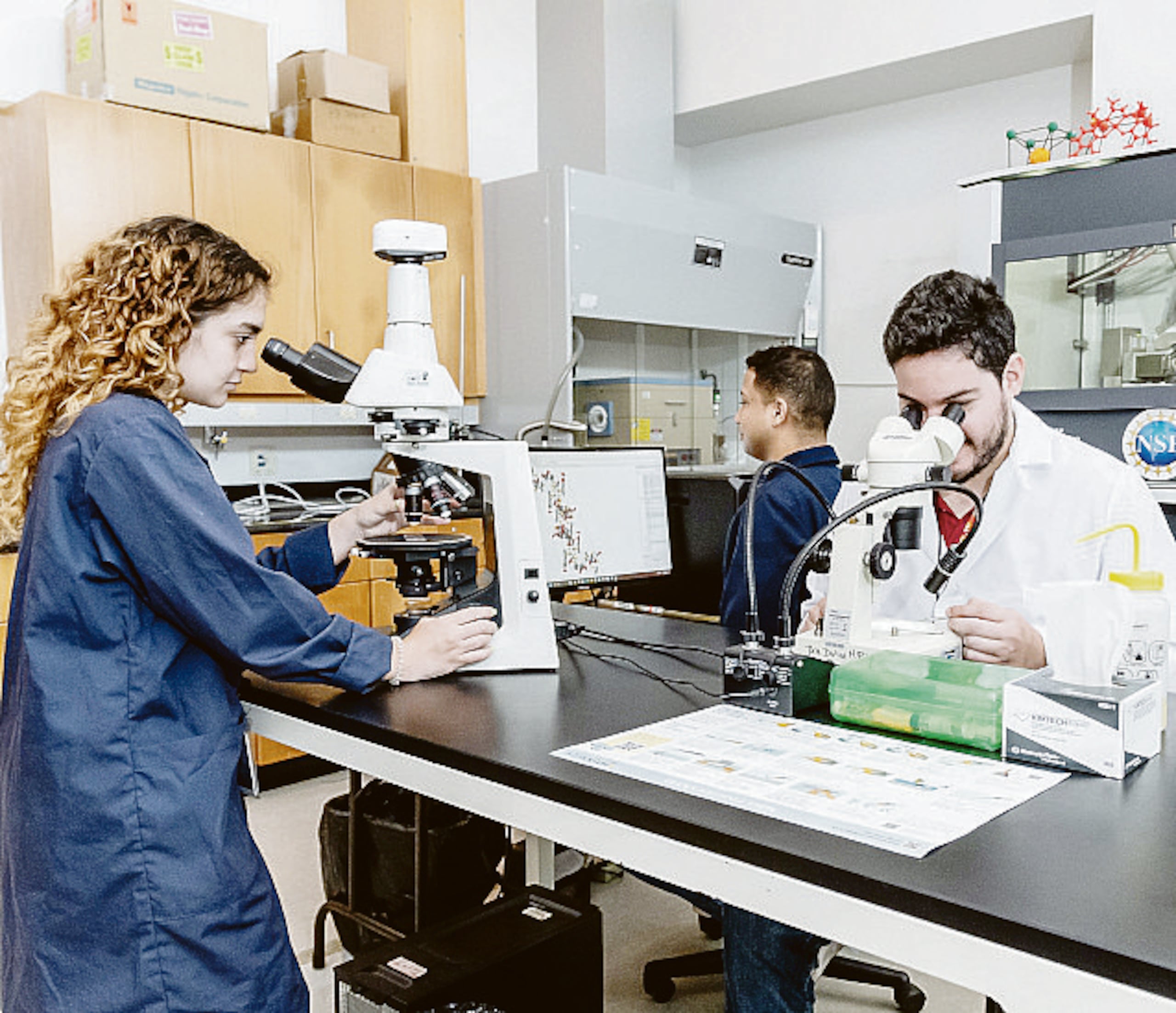 La Facilidad de Difracción de Rayos X se estudia la estructura química de los sólidos cristalinos.