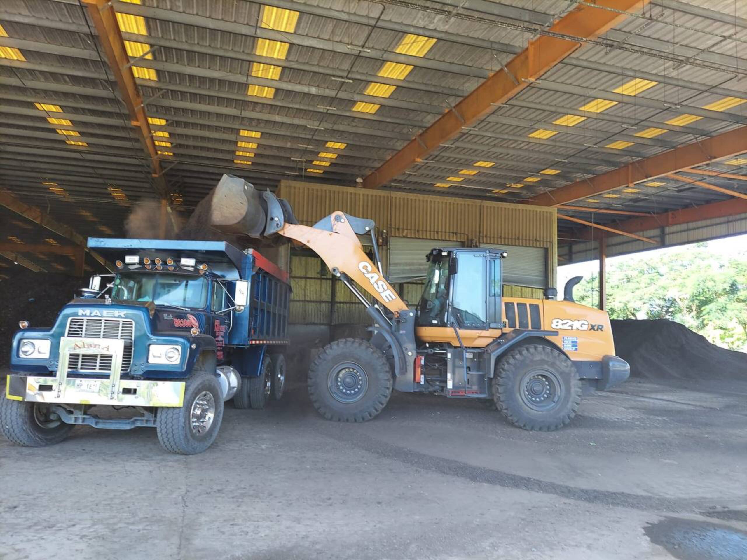 Los árboles pueden ser entregados en la planta localizada en el barrio Sabanetas en Mayagüez, de lunes a viernes, o también pueden comunicarse al 787-265-4240 para coordinar la entrega o recogido de composta.