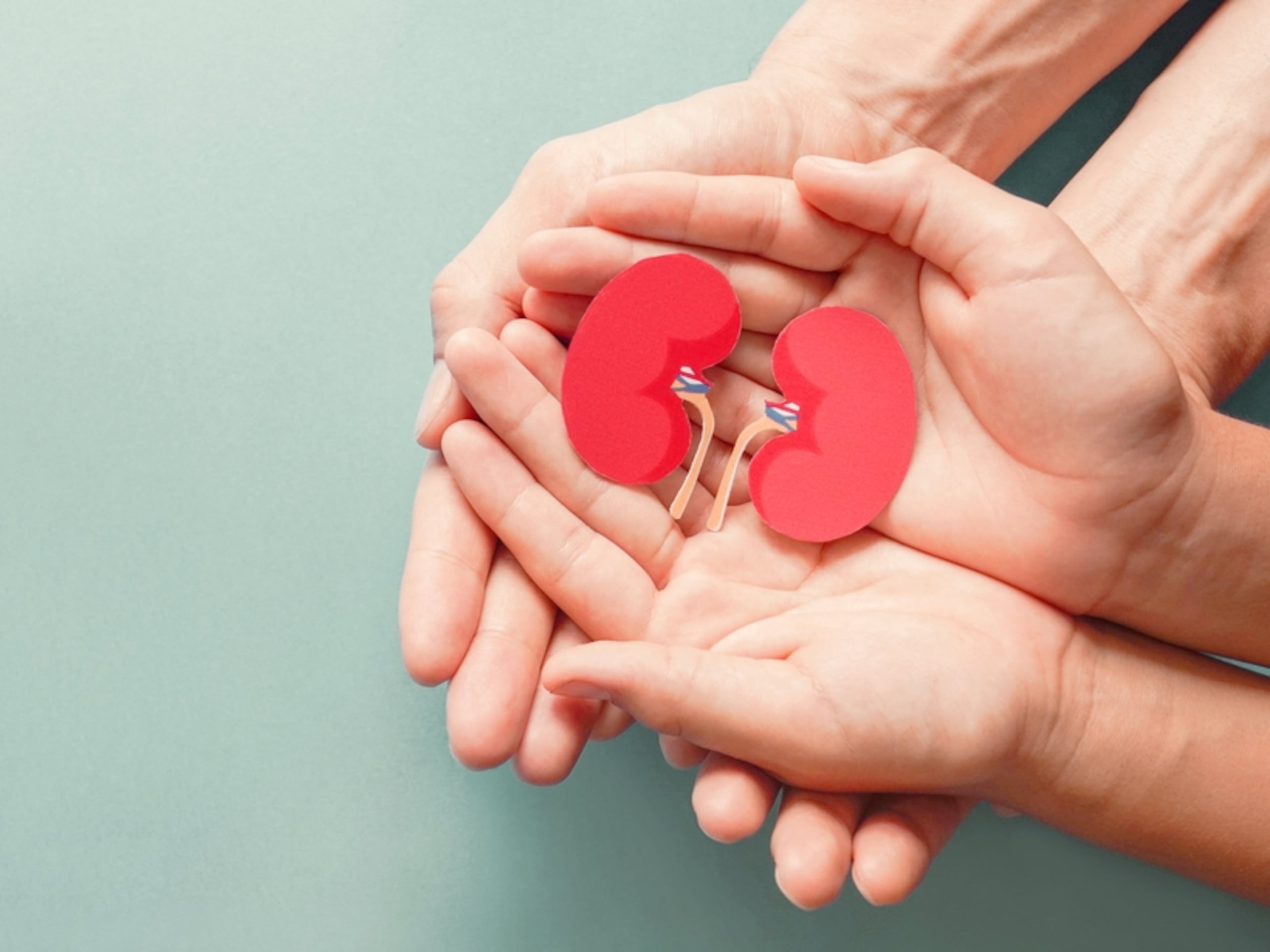 El Día Mundial del Riñón enmarcó un llamado unánime de la Federación Puertorriqueña del Riñón (FPR), el Consejo Renal y Nutriendo Puerto Rico a la educación preventiva, enfocada en la alimentación, las pruebas para un diagnóstico temprano y romper las barreras asociadas a la condición.