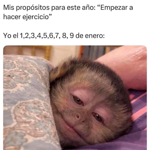 Los mejores memes de la semana