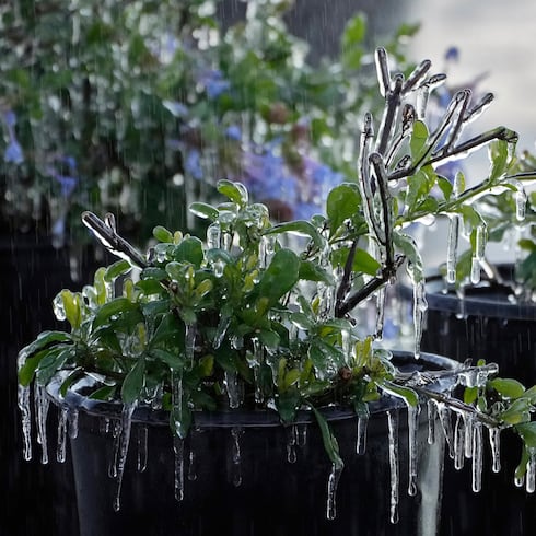 Mira hasta cuánto bajarán las temperaturas en Florida