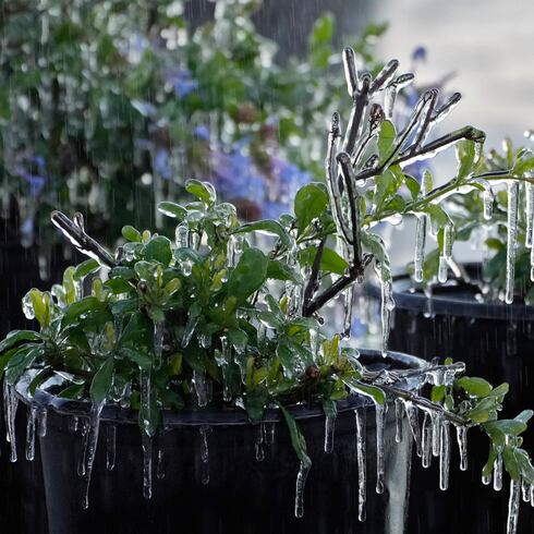 FOTOS: ¡Frío pelú en Estados Unidos!