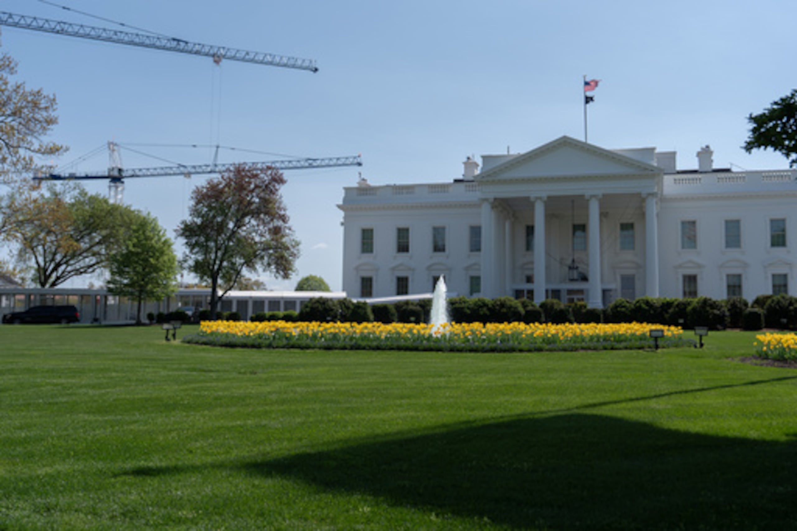 Grúas que se utilizan para construir el nuevo salón de baile de la Casa Blanca se ven alrededor de la Casa Blanca, el sábado 4 de abril de 2026, en Washington. (AP Photo/Julia Demaree Nikhinson)