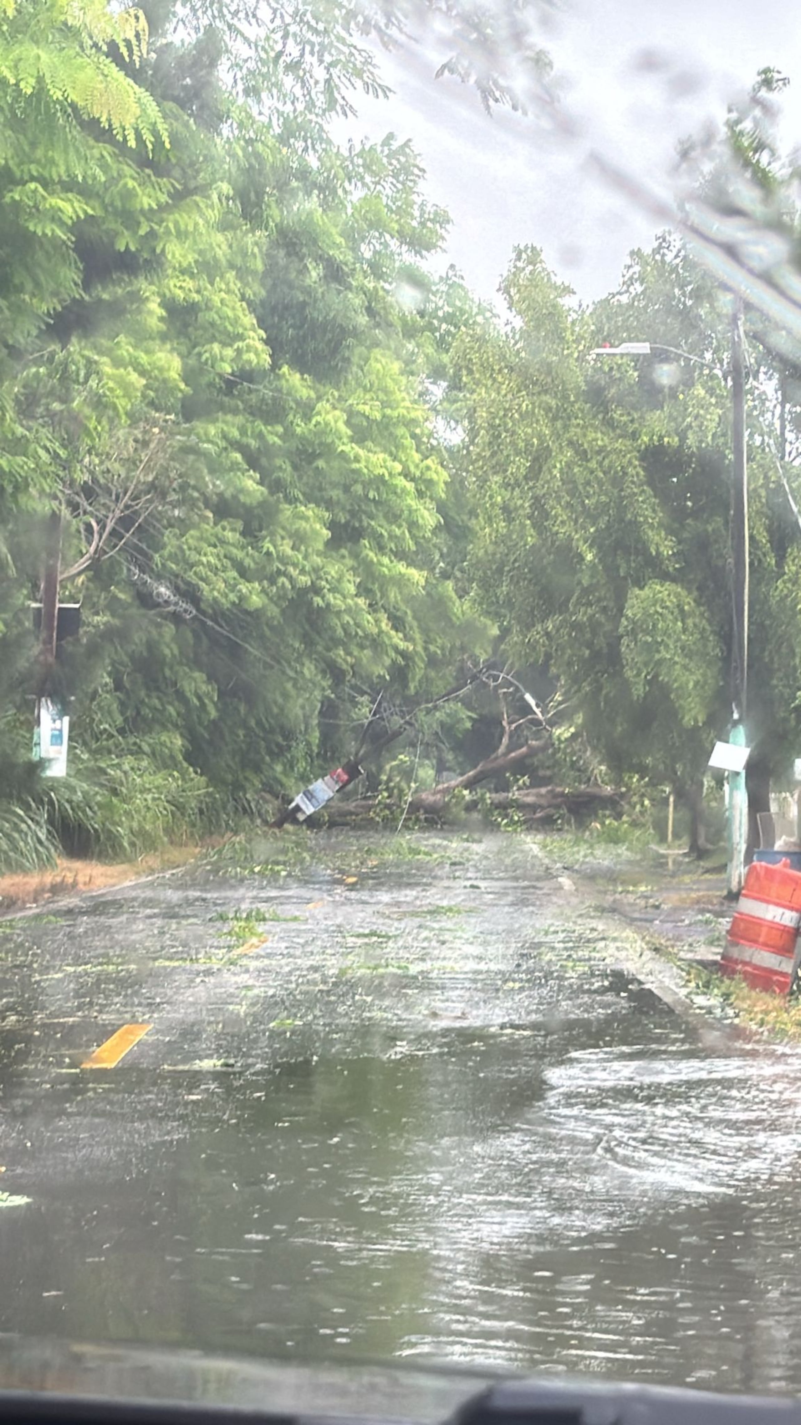 Las carreteras 109 y 402 de Añasco se hallaban cerradas debido a la caída de árboles y tendido eléctrico en el suelo.