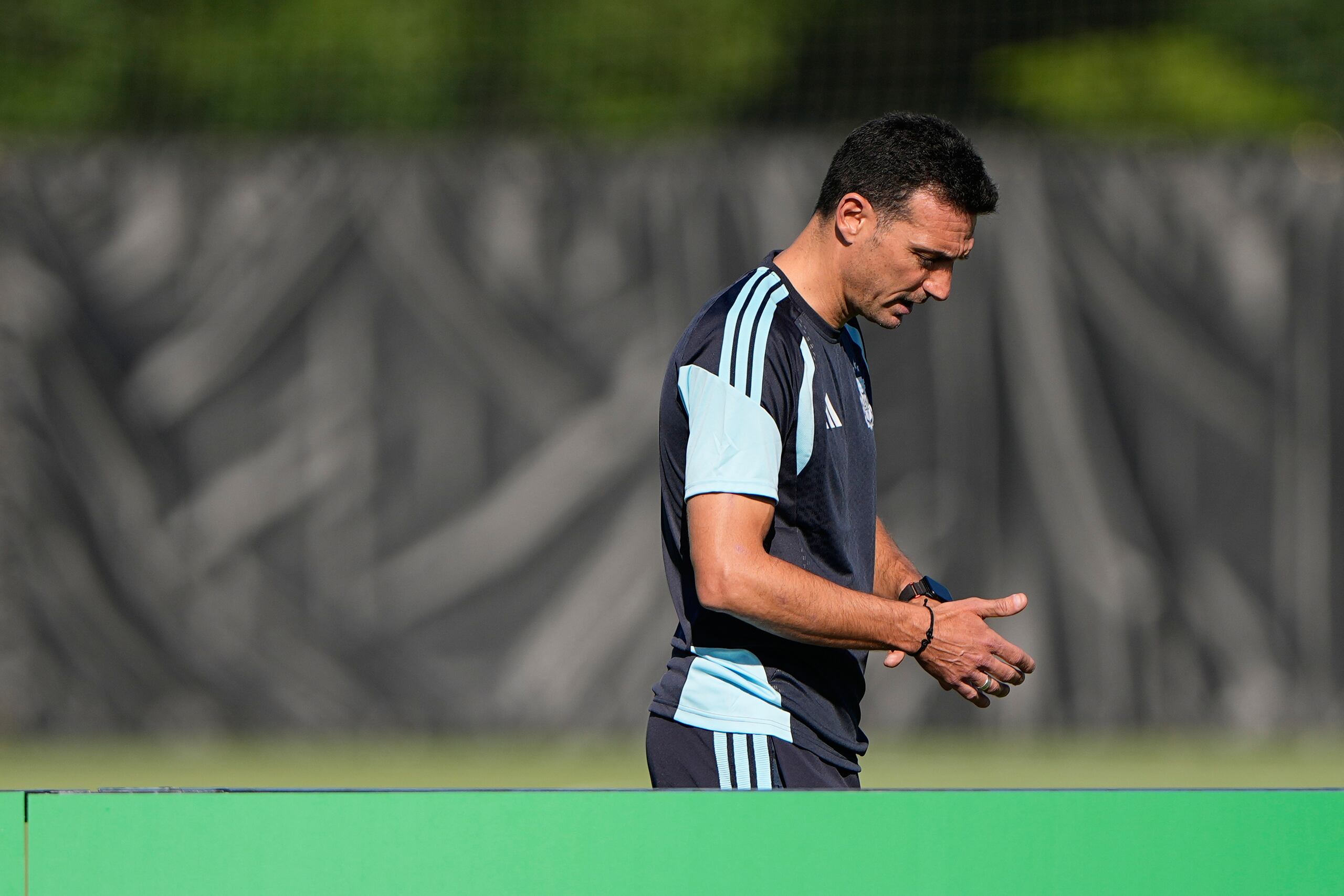 El técnico Lionel Scaloni, de la selección de Argentina.