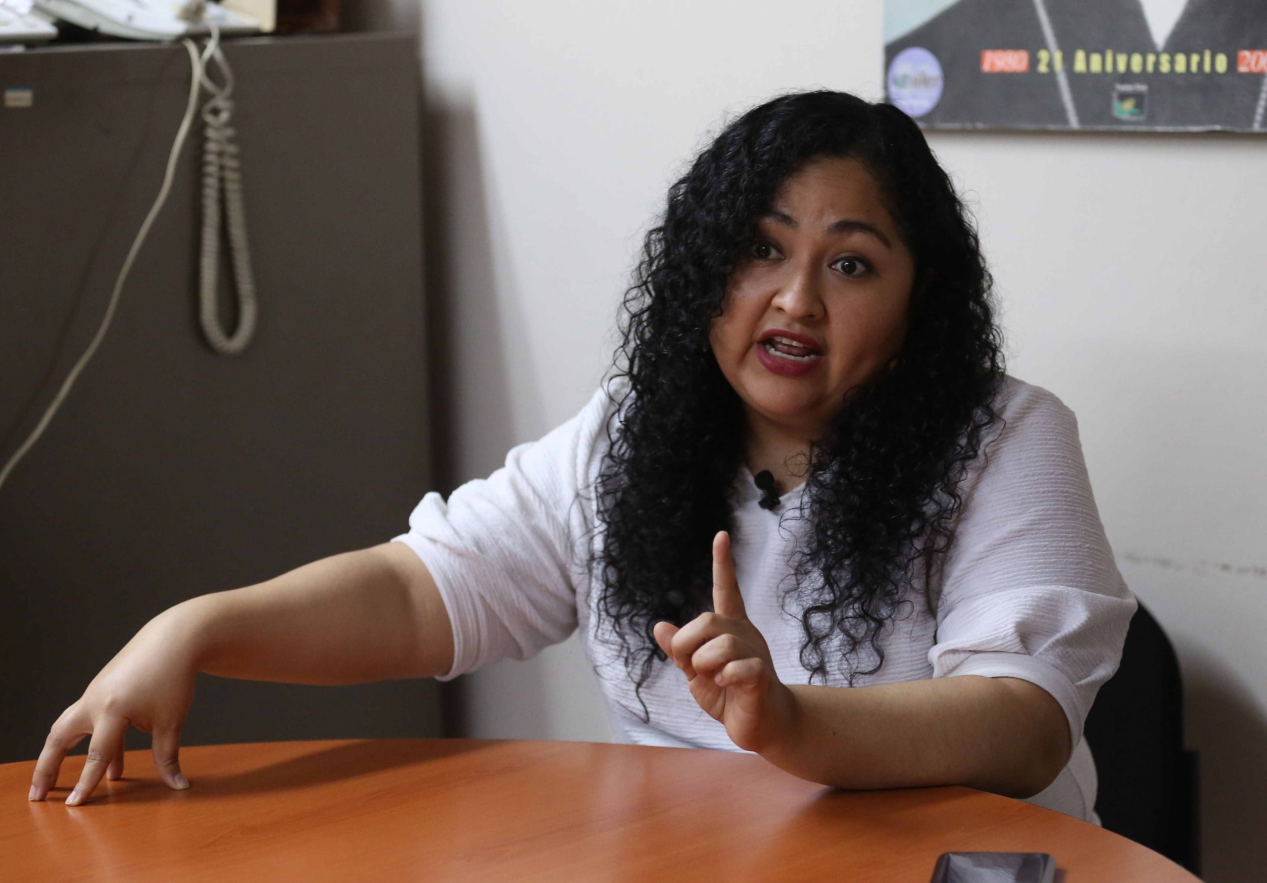 Angélica Cárcamo, presidenta de la Asociación de Periodistas de El Salvador (APES), dijo que "casualmente, la captura ocurre semanas después de que ella realizara unas publicaciones periodísticas que afectan a sectores empresariales del actual Gobierno salvadoreño".