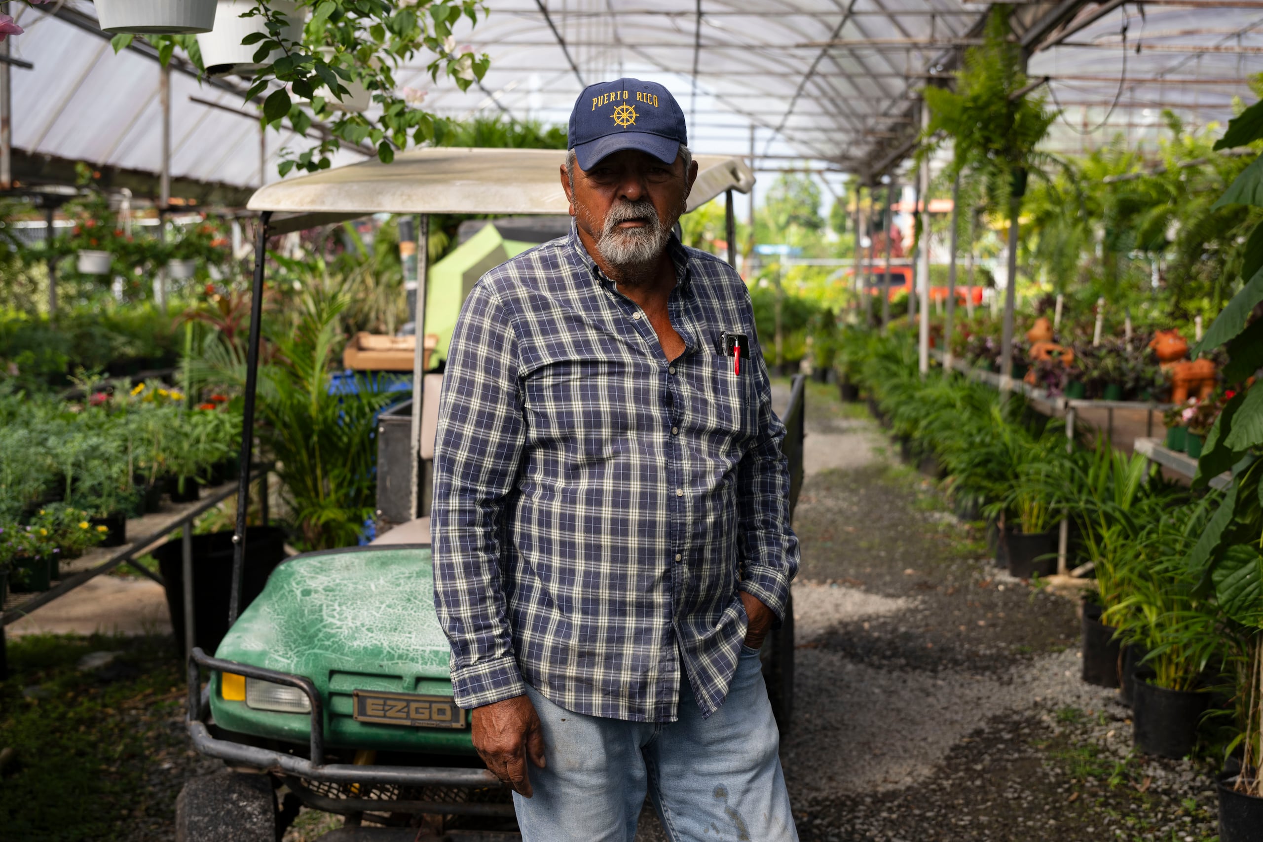 A Ángel Feliciano Méndez, propietario del Vivero Finca Angelycar, le han ofrecido $53,000 para que salga de su comercio.