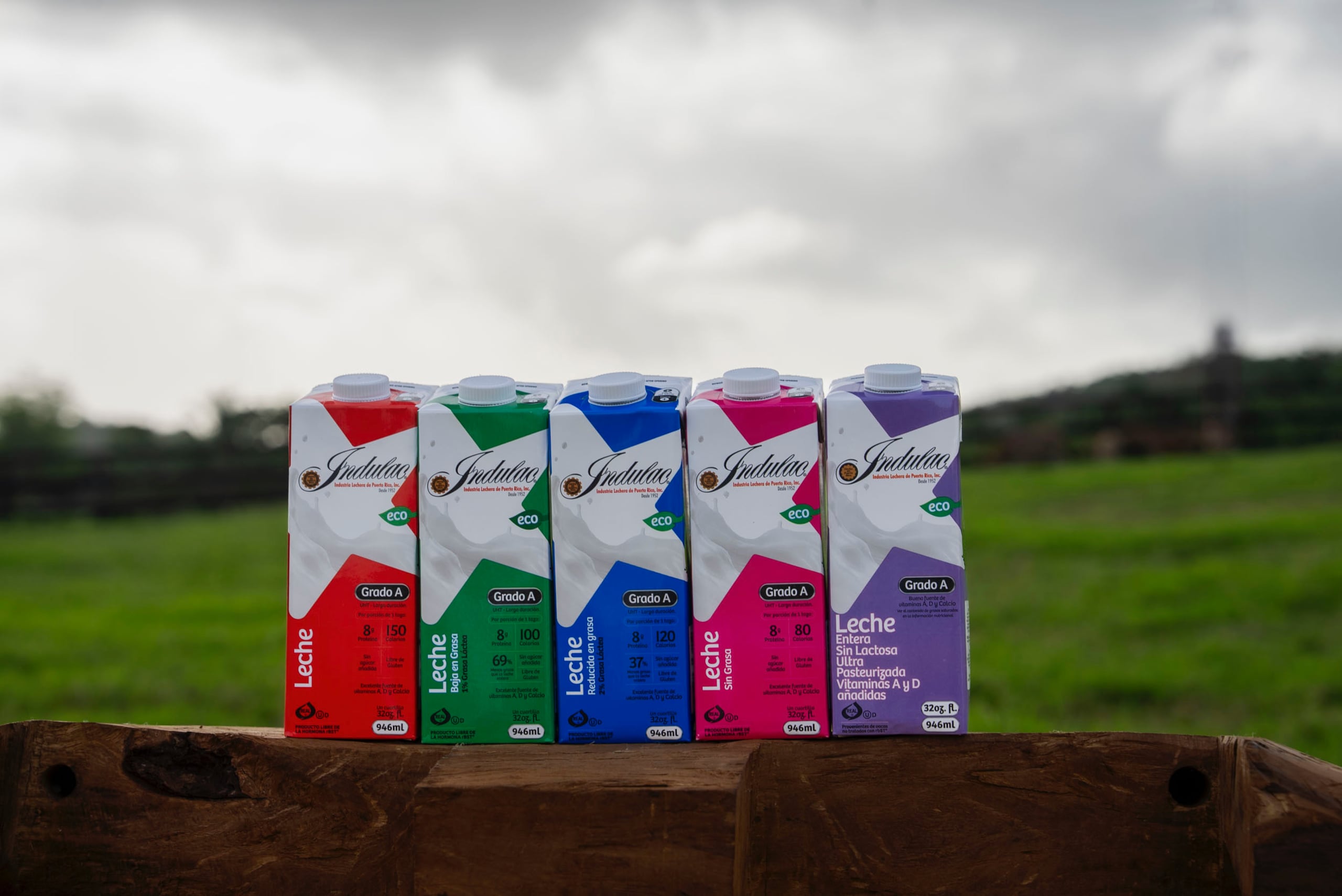 La leche Indulac, en sus distintas variedades, se mantiene como la número uno en Puerto Rico, con un aumento sostenido en ventas y consolidándose como la marca líder en su categoría. Además, ya se distribuye en las Islas Vírgenes y ha regresado al mercado del estado de Florida, con posibilidades de expansión a otros estados.