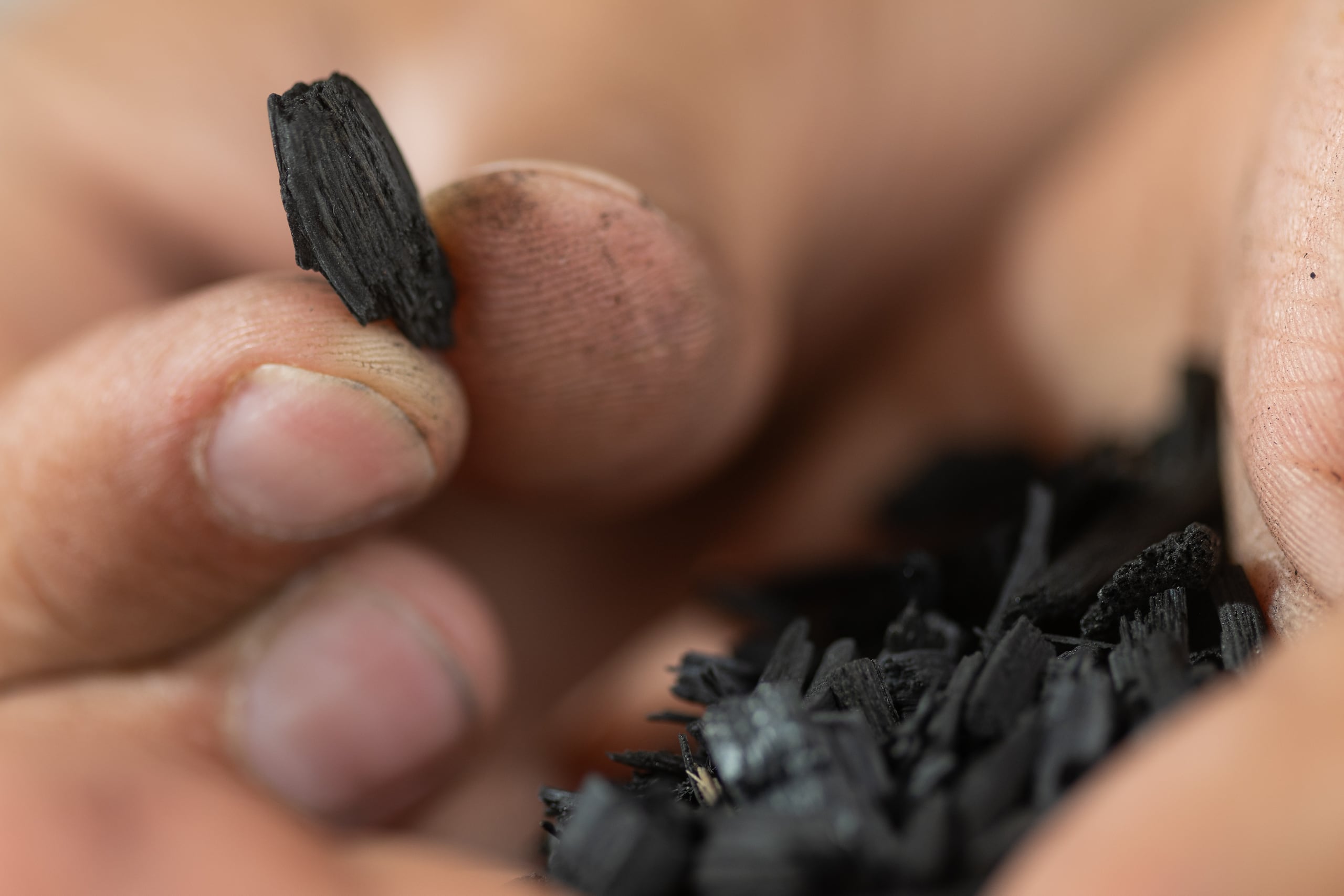 Así quedan los pedazos de bambúas después de ser procesadas a carbón.