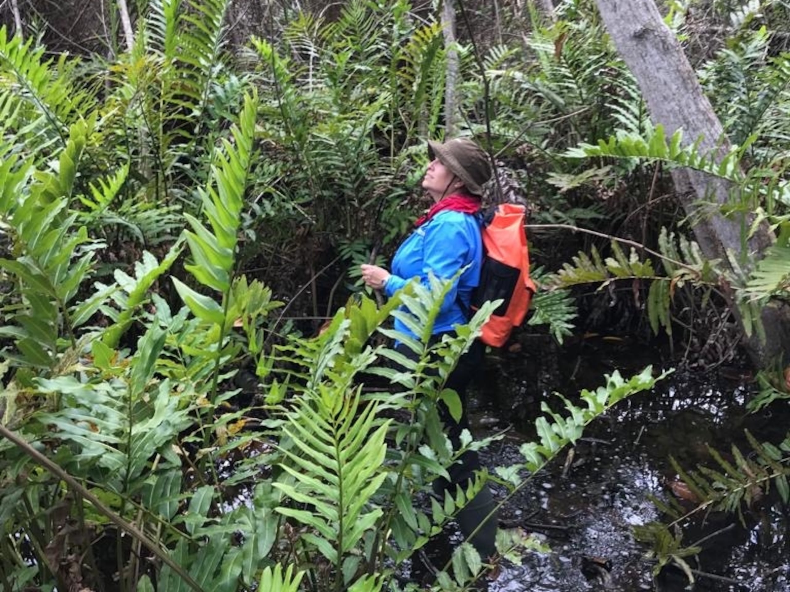 La profesora Elsie Rivera enseña hace 13 años en la UPR en Bayamón.