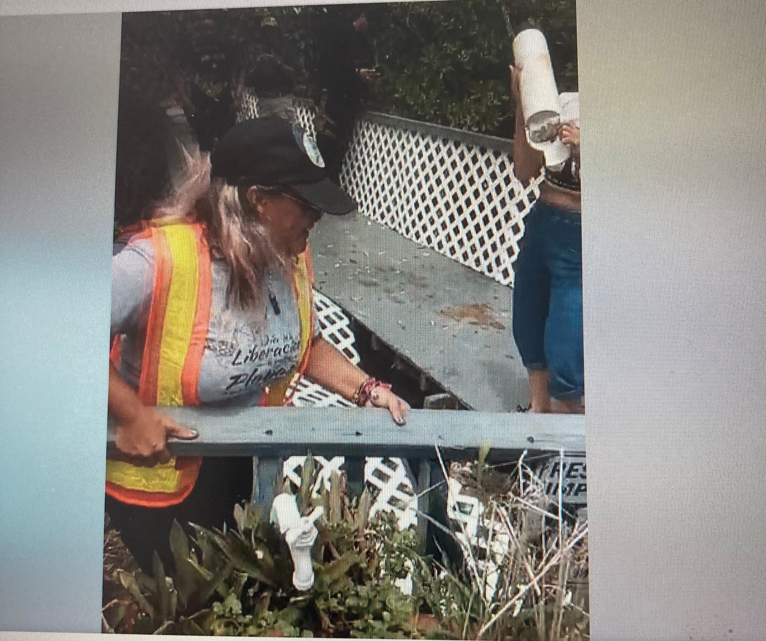 Protesta en propiedades de La Parguera 9 de julio de 2023, fotocaptura redes sociales.