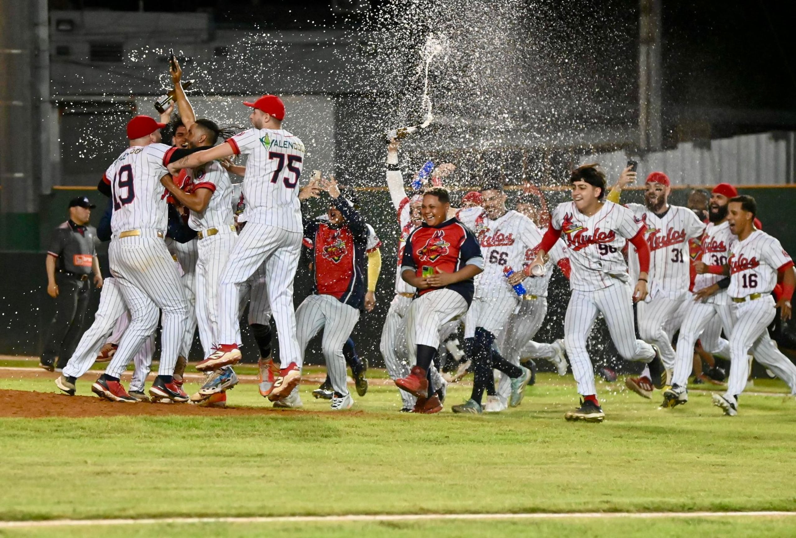 Los Mulos son los vigentes campeones de la Doble A.