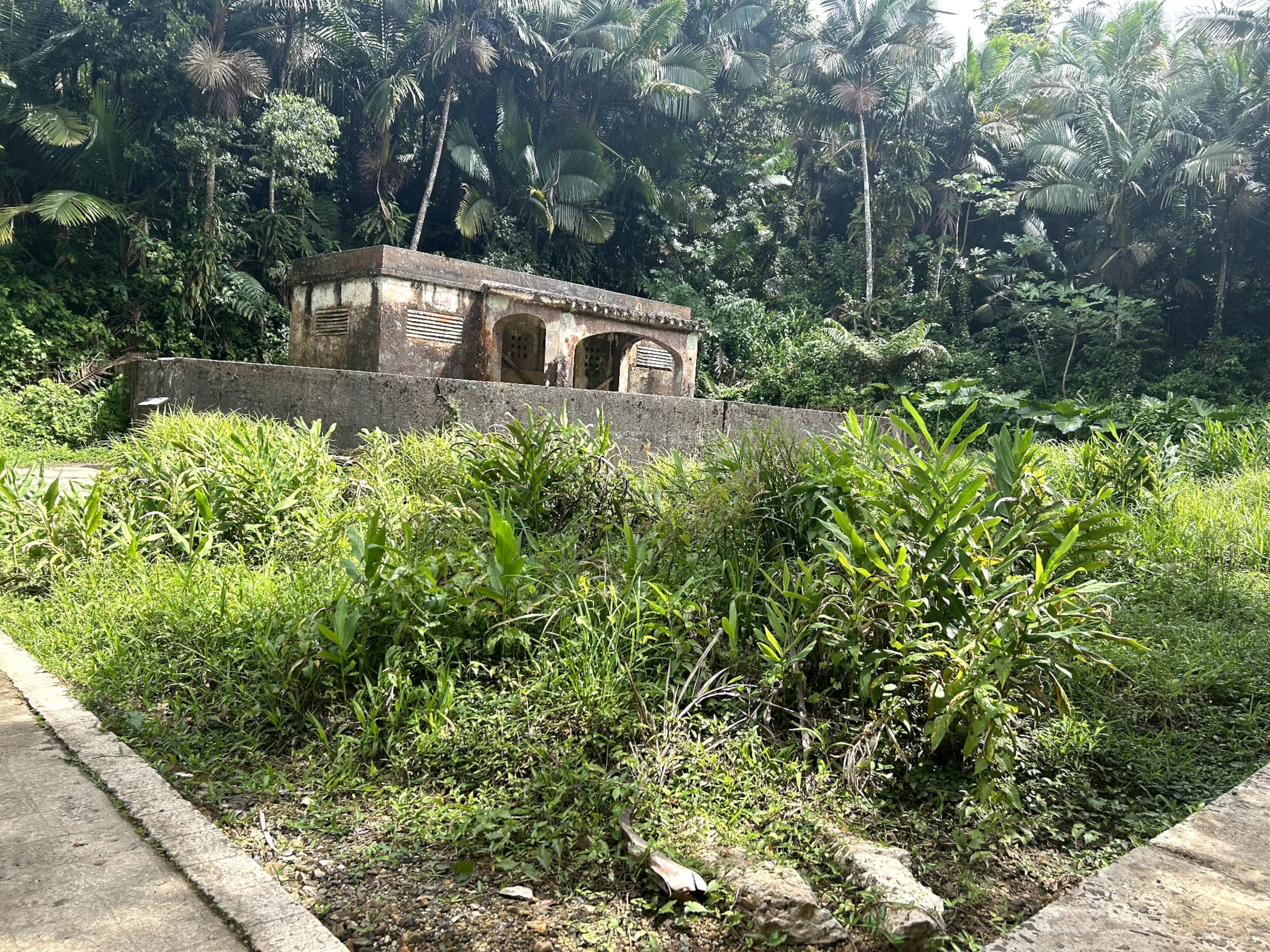 Así se encuentra en la actualidad Baño de Oro, una histórica piscina en El Yunque.