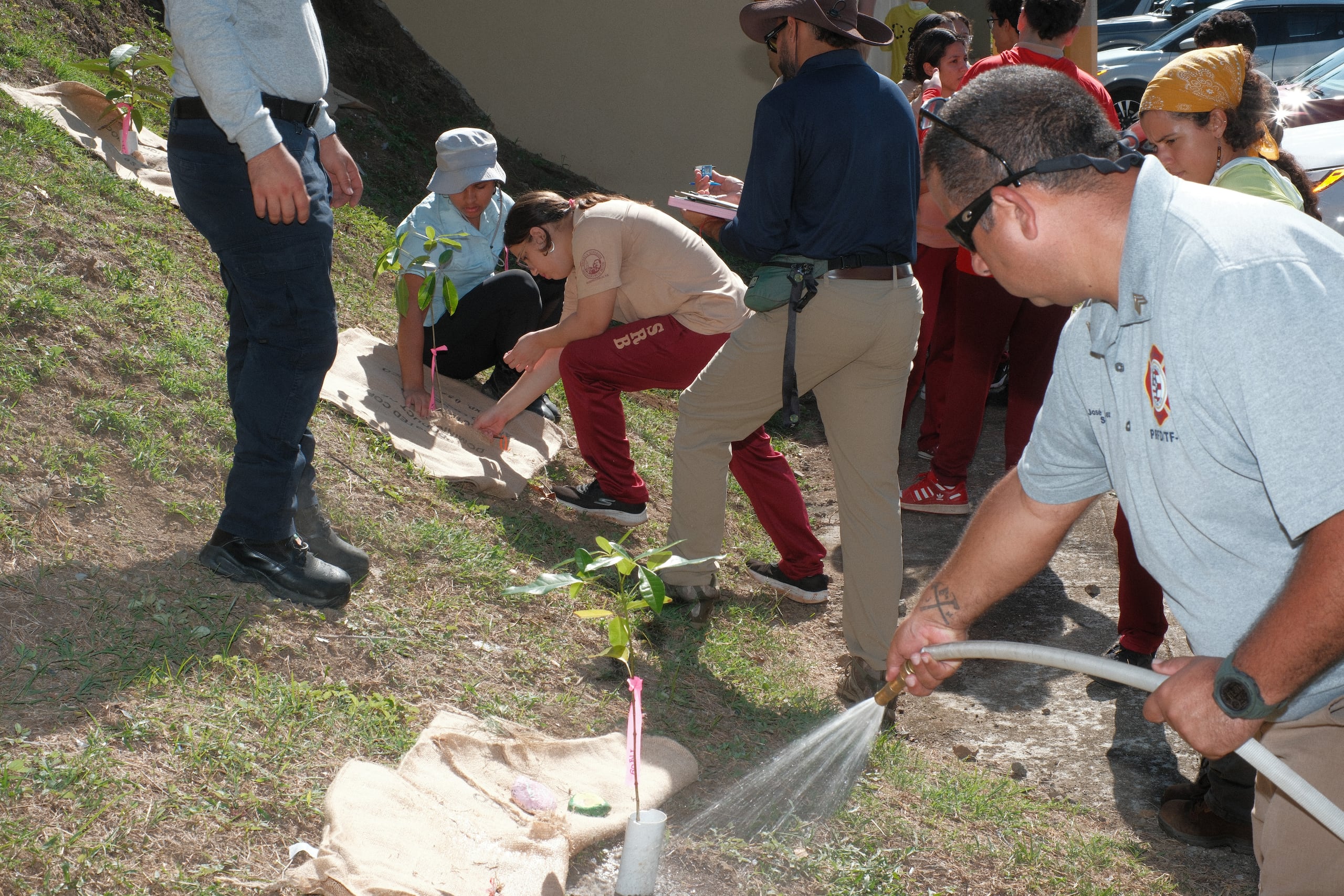 Al evento asistieron representantes municipales, voluntarios y estudiantes de la Escuela Superior Segundo Ruiz Belvis, que se unieron para dejar su huella verde en Hormigueros.