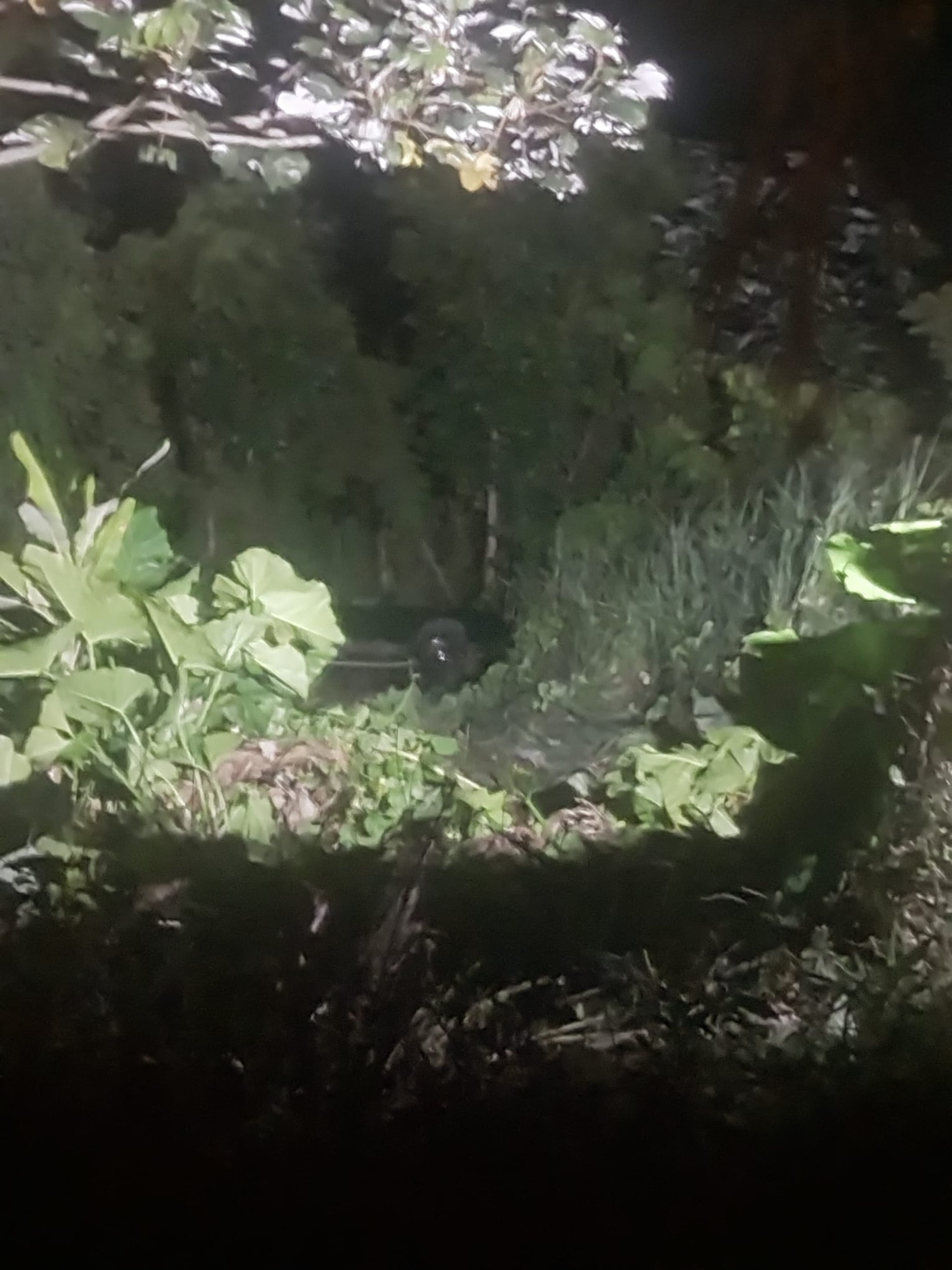 El accidente ocurrió en la carretera 811, a la altura del sector Los García.