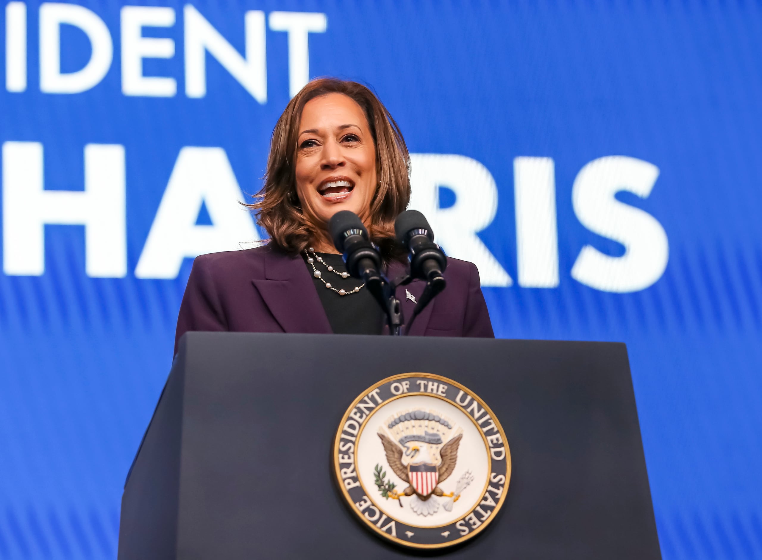 El nuevo sondeo demuestra además que Harris tendría un mejor desempeño que Biden entre los votantes jóvenes y los afroamericanos, dos sectores de la población desencantados con Biden.
