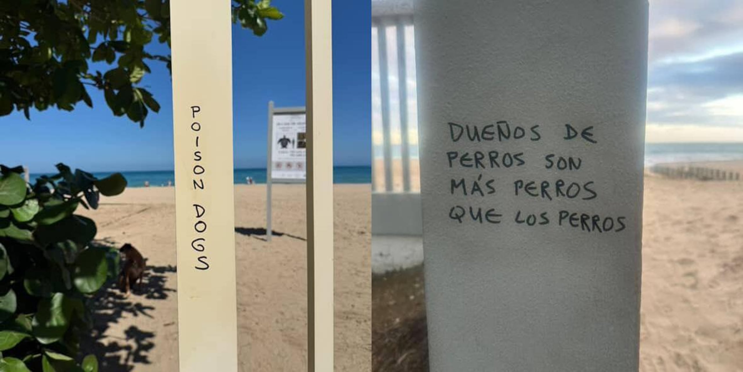 Como parte de la respuesta inmediata del Municipio de San Juan brigadas municipales acudieron al lugar para remover mensajes hostiles que fueron escritos en paredes del área.