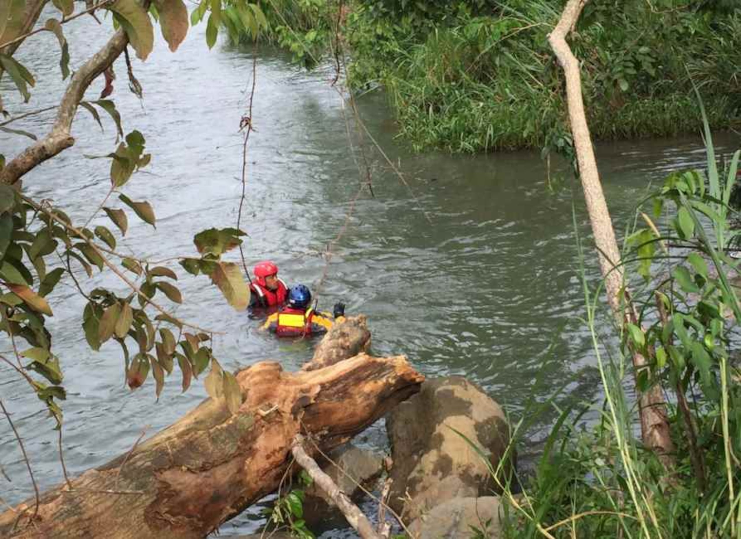 A los trabajos se ha sumado personal de búsqueda de Aemead estatal, así como de los municipios de Luquillo, Río Grande, Canóvanas, Ceiba, Naguabo, Toa Alta y Bayamón. (Twitter/Aemead)