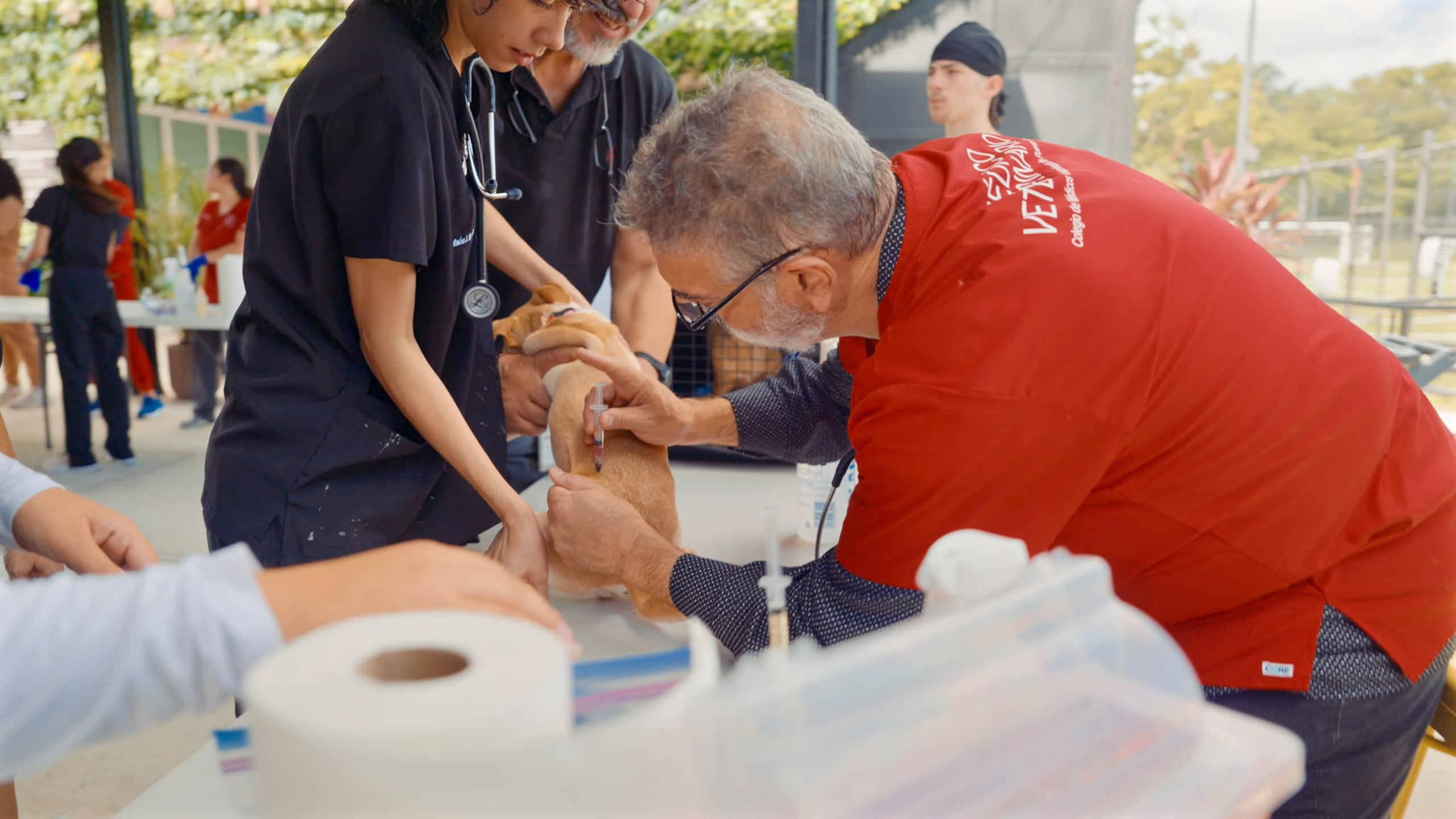 La iniciativa contó con la participación de 20 médicos veterinarios.