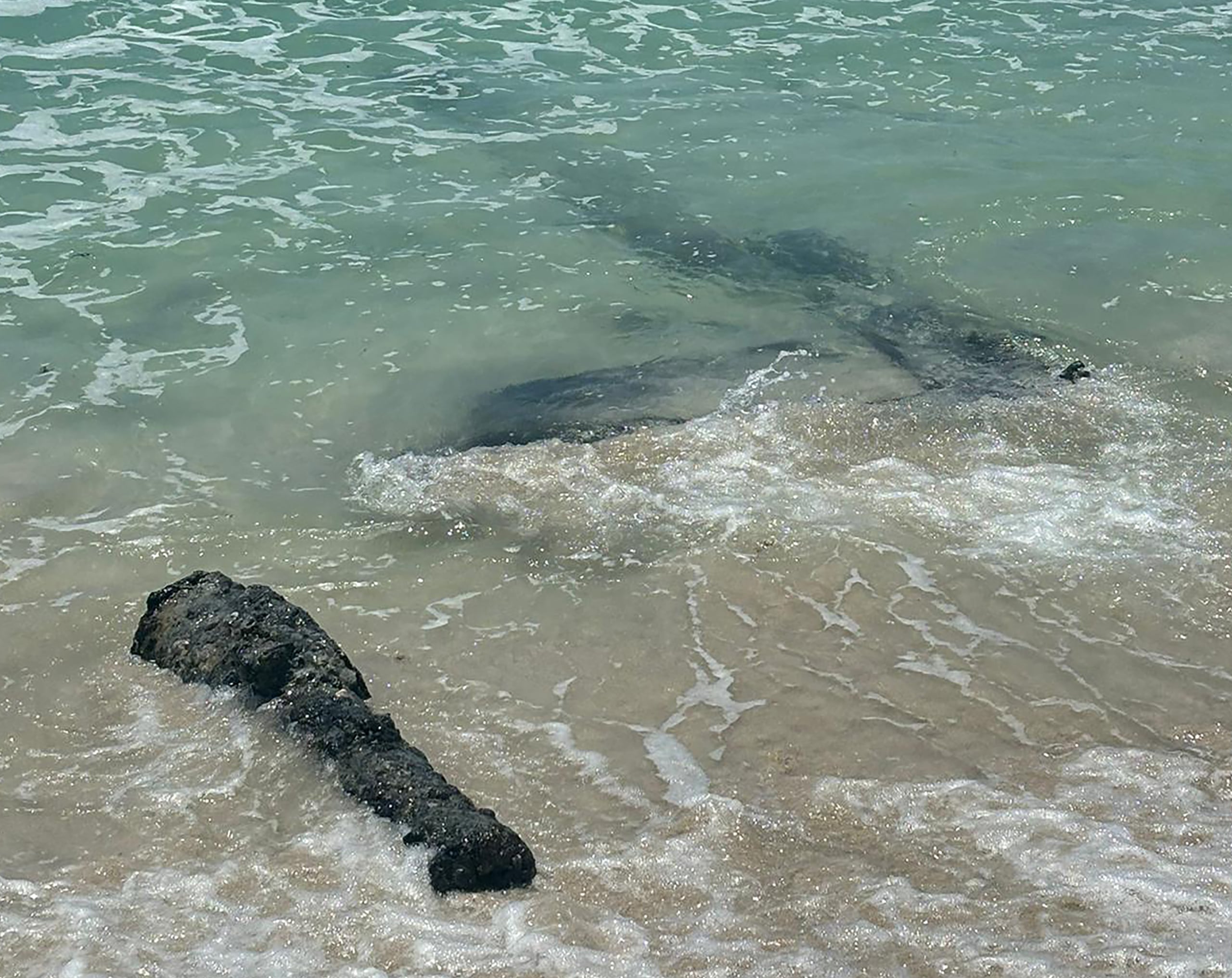 Pedazos de un barco centenario encontrados por pescadores en una playa de Vieques.