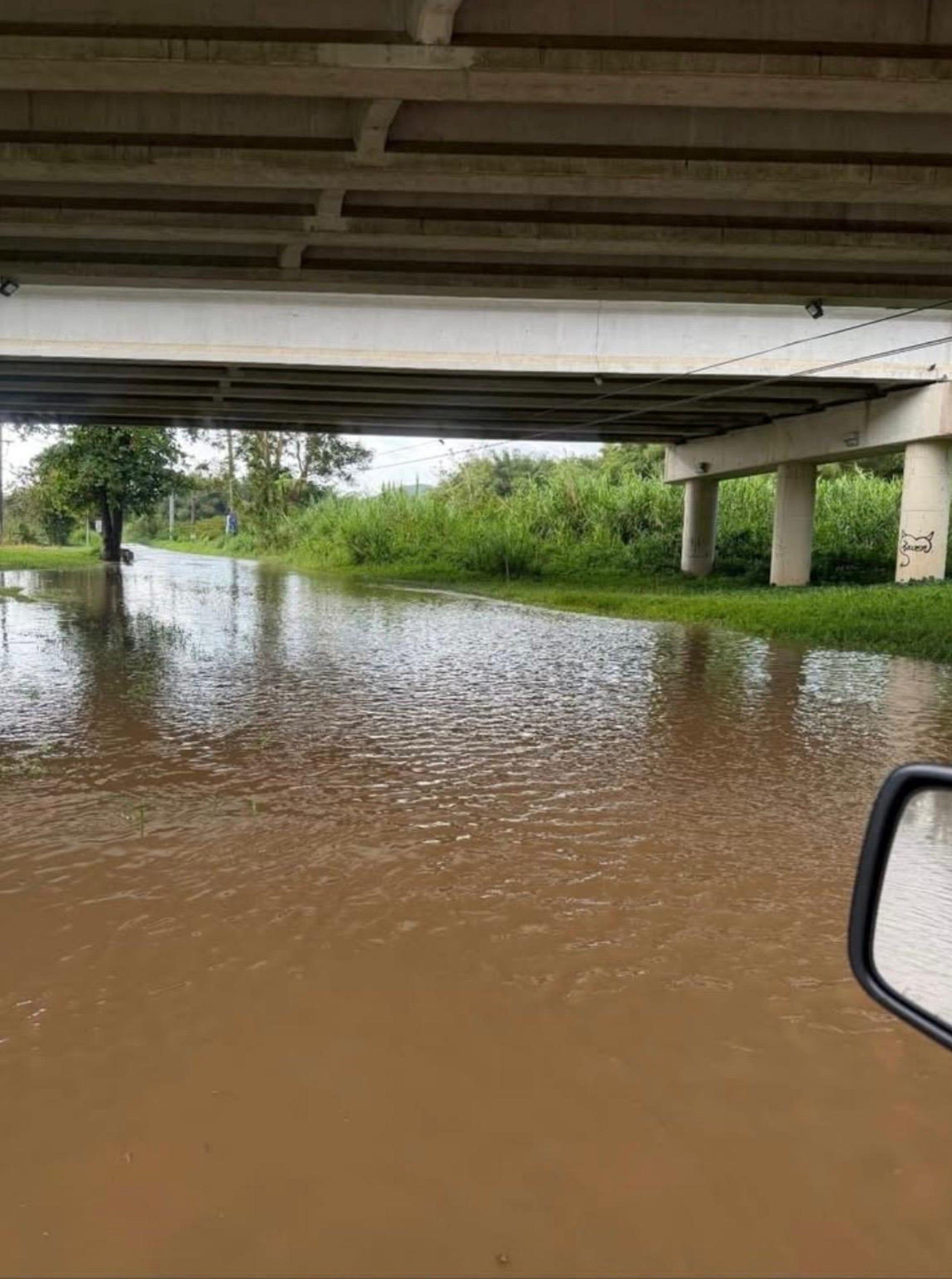 Un tramo de la carretera PR-31 en la salida 22, en Naguabo, se encuentra intransitable debido a que el río Blanco se salió de su cauce.