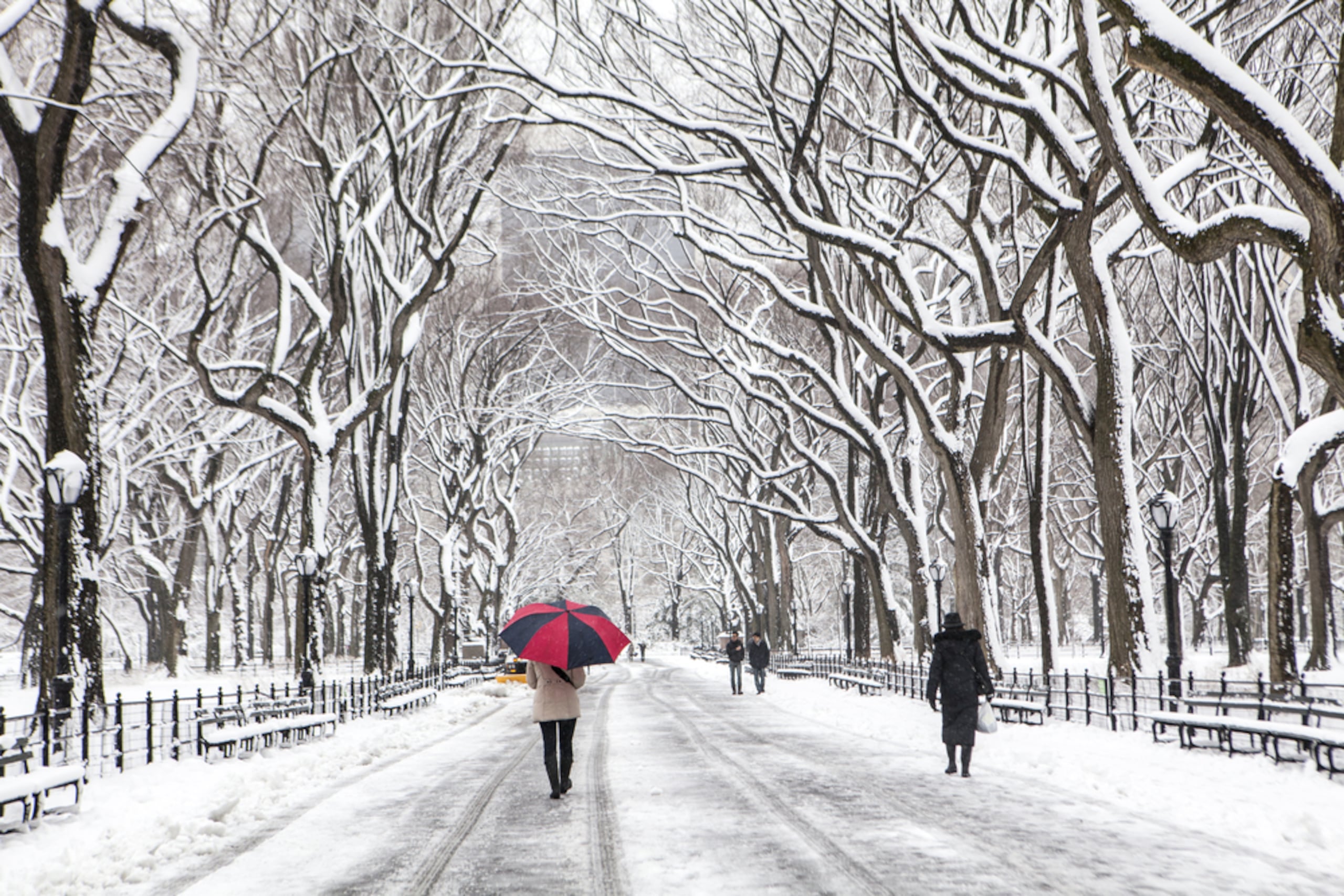 En Nueva York, el Departamento de Gestión de Emergencias de la ciudad emitió una alerta de viaje desde mañana por la noche hasta el sábado.