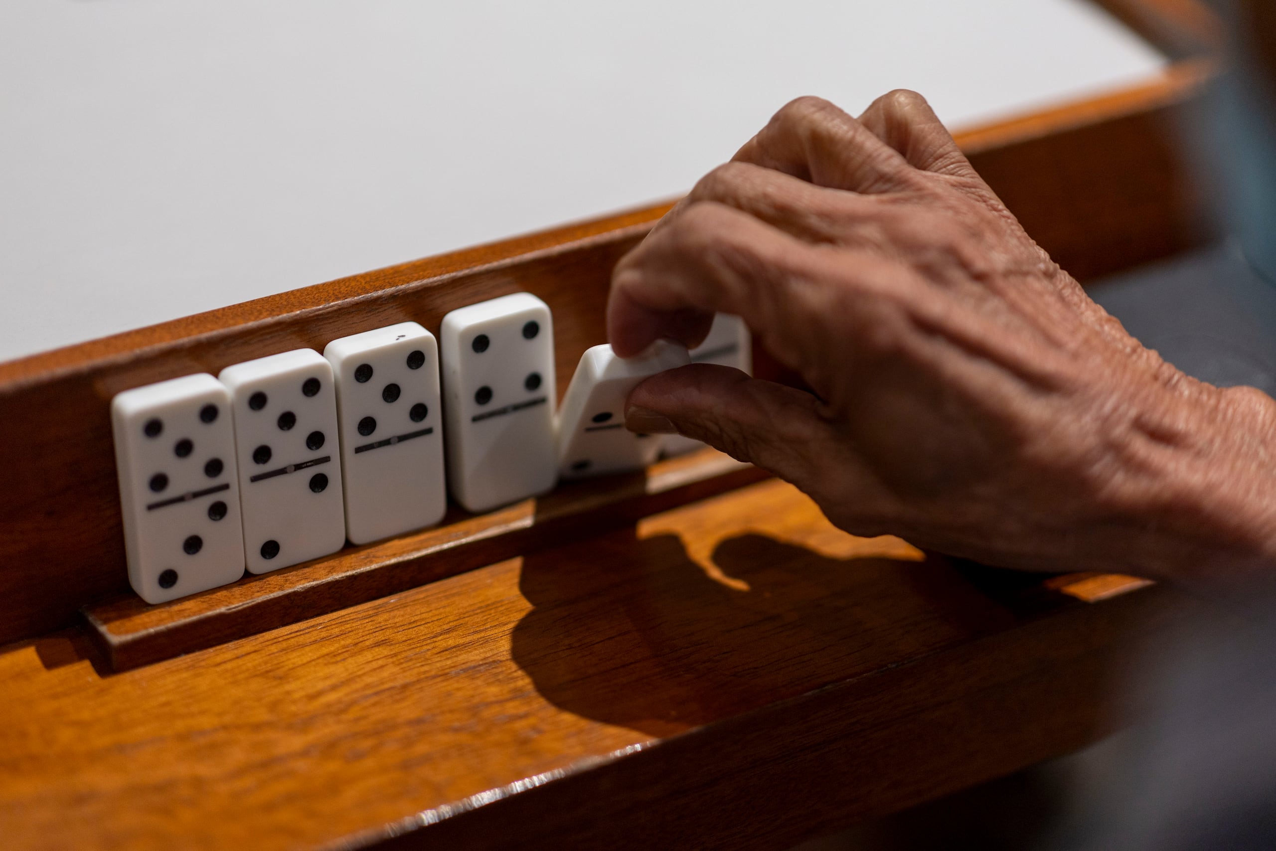 Sobre 300 dominocistas de países como Nicaragua, España, Barbados, Canadá, Colombia, Cuba, Jamaica, Panamá, Venezuela, San Andrés, Estados Unidos, Republica Dominicana y Abjasia, participan del evento.