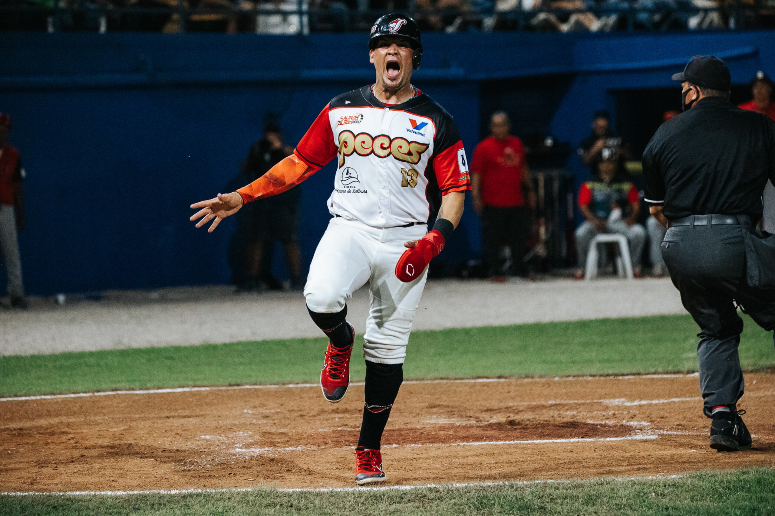 Los Peces Voladores de Salinas ha sido la franquicia más consistente de la sección en las pasadas nueve temporadas con ocho finales.
