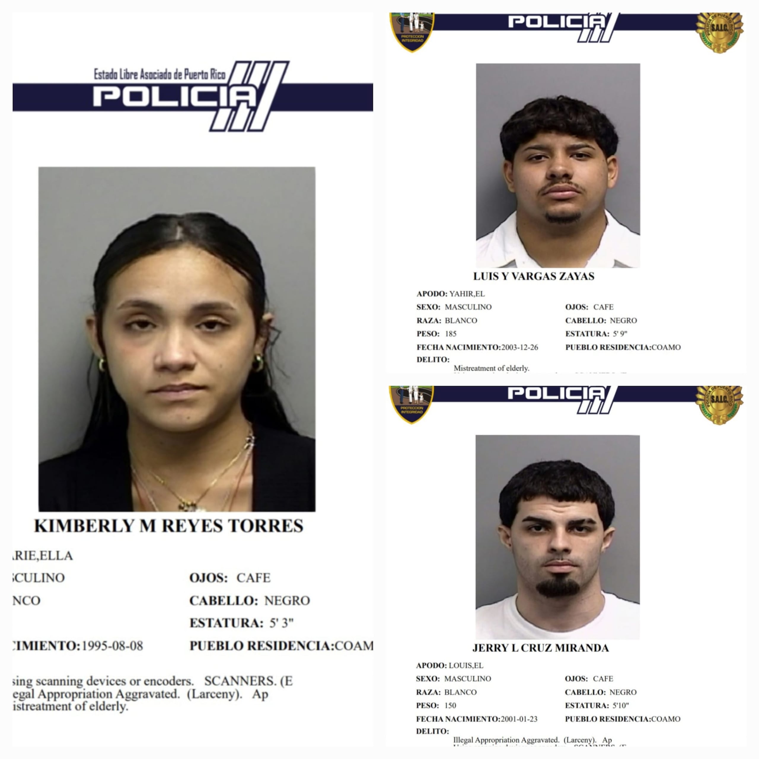 Kimberly M. Reyes Torres, Jerry L. Cruz Miranda y Luis Y. Vargas Zayas, enfrentan cargos por fraude, por maltrato a personas de edad avanzada, utilización o posesión ilegal de con tarjetas de crédito y débito y apropiación ilegal agravada.