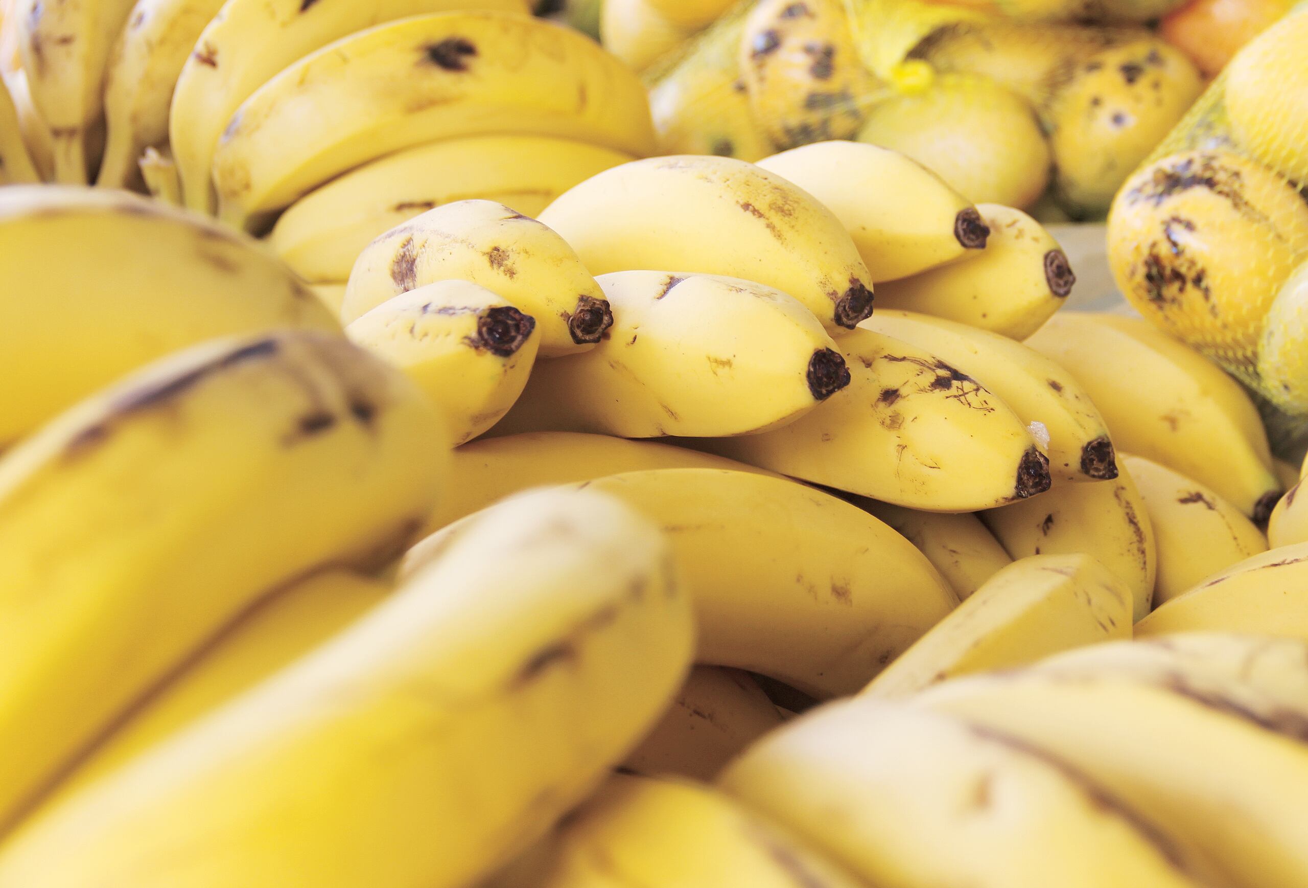 Tienen un alto contenido en potasio.