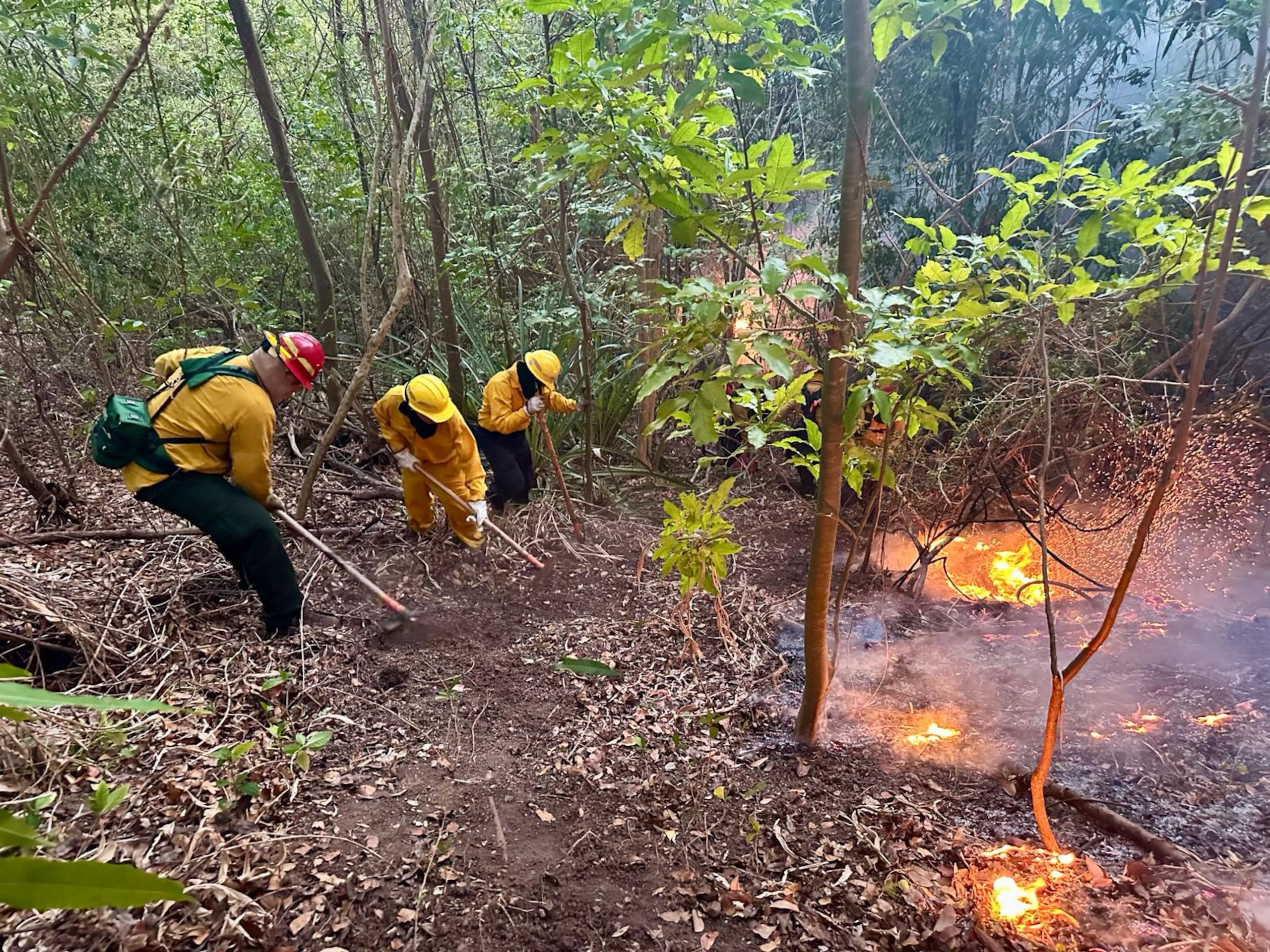 Entre las recomendaciones, está no fumar en áreas boscosas o pastizales.