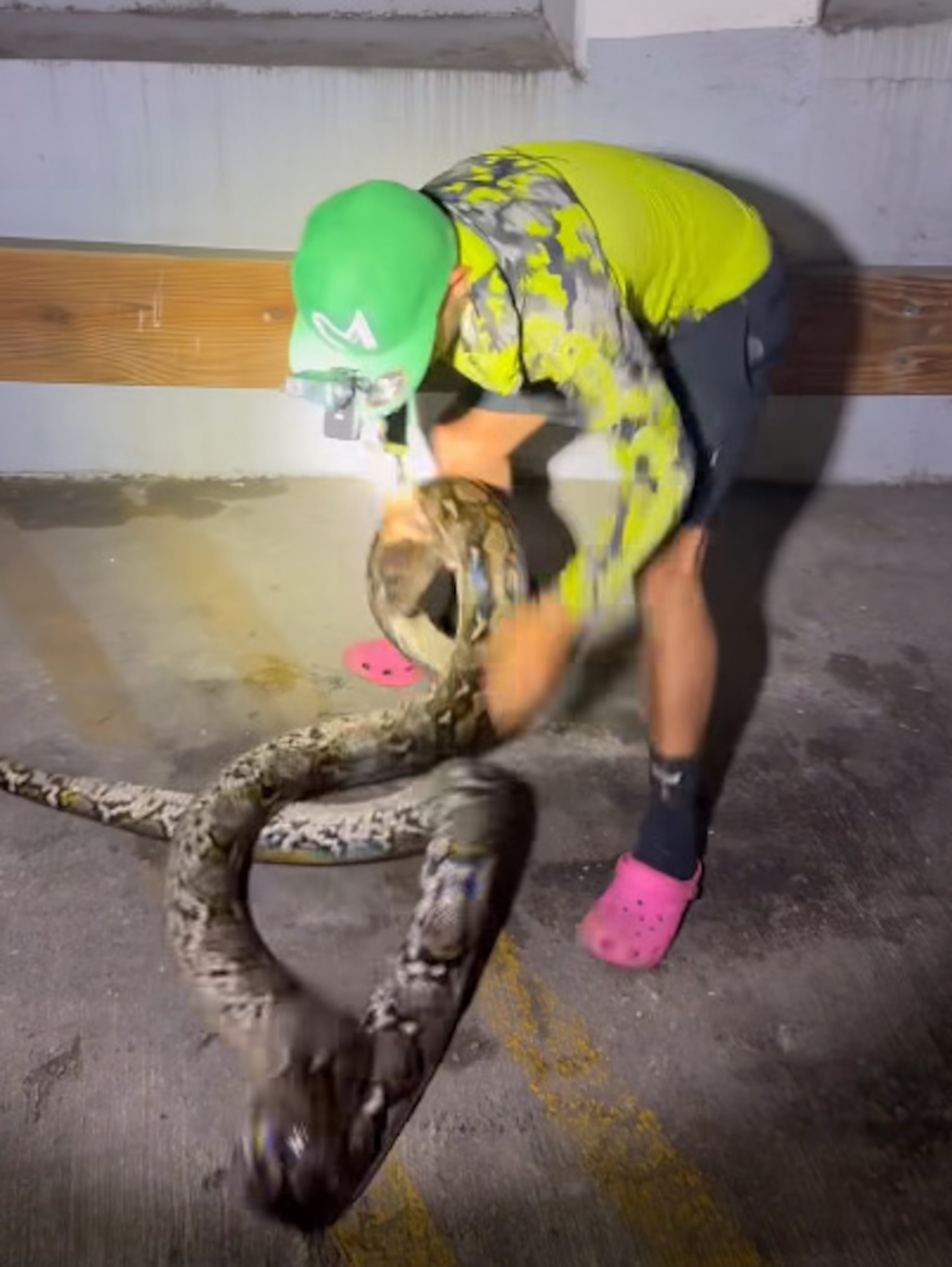 La culebra fue capturada por José “Gongo” Morales.