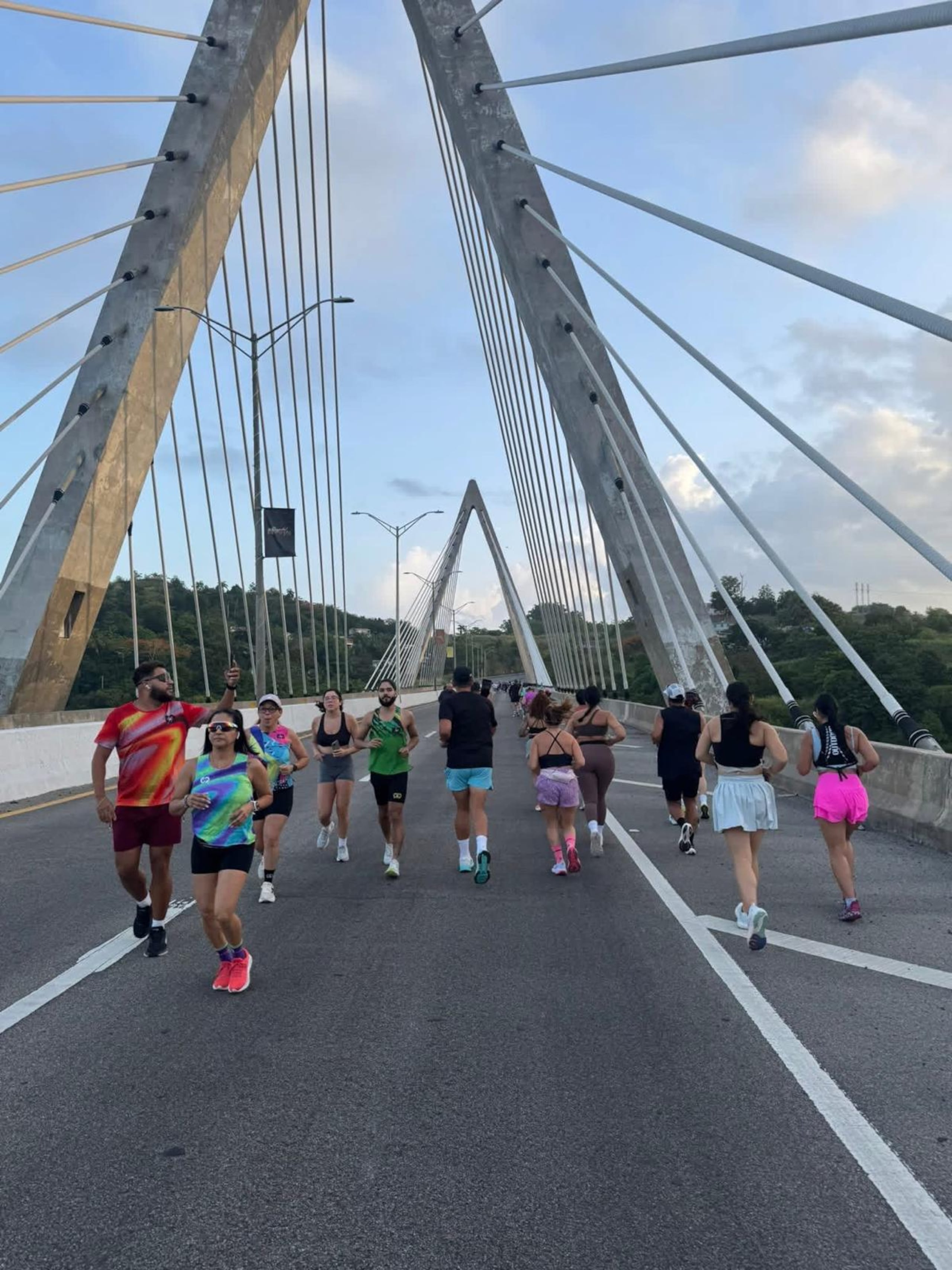 Puente atirantado de Naranjito