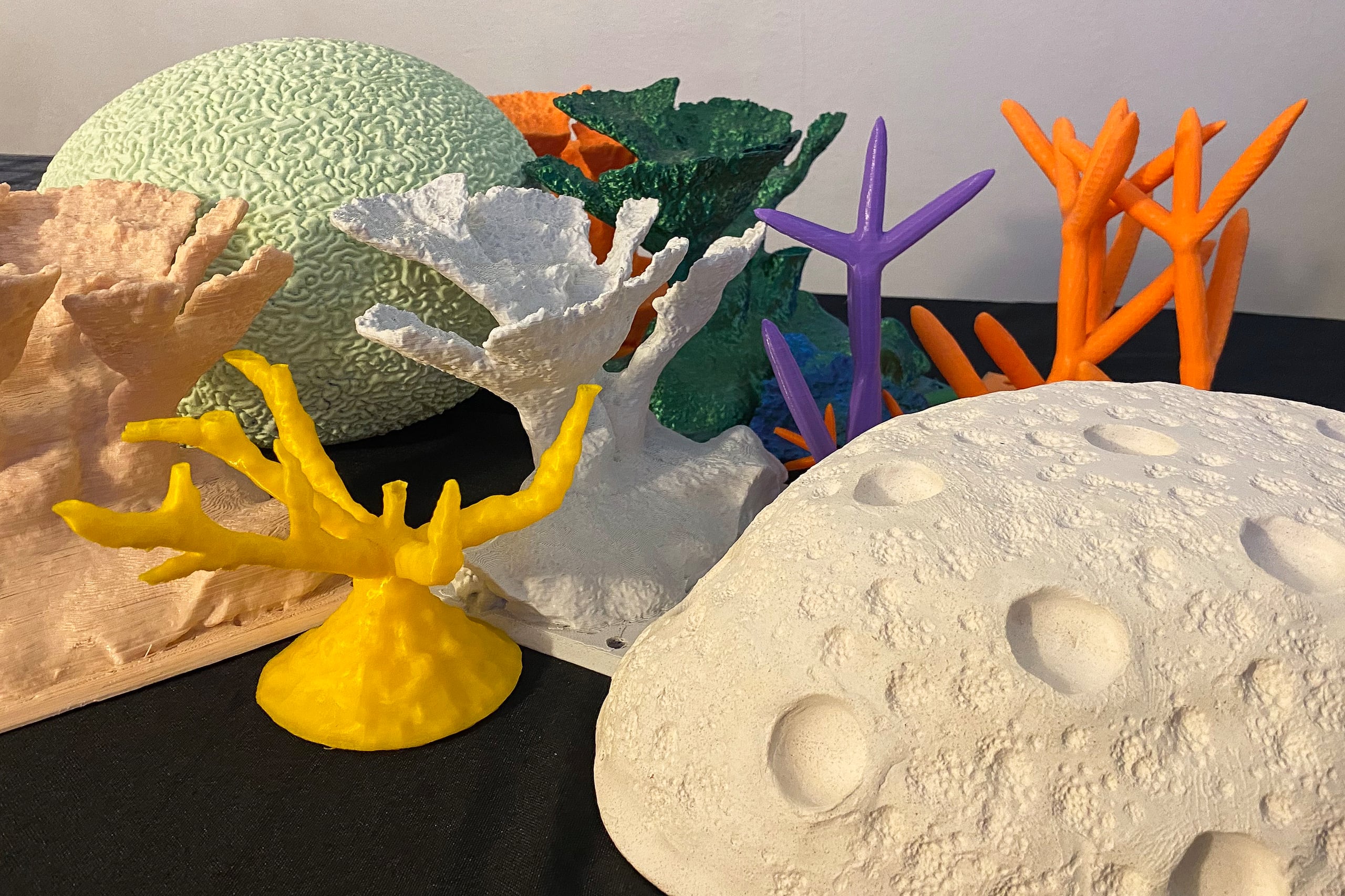 Los datos del análisis del proyecto se expondrán en el congreso Reef Futures, que se celebrará en diciembre en México.