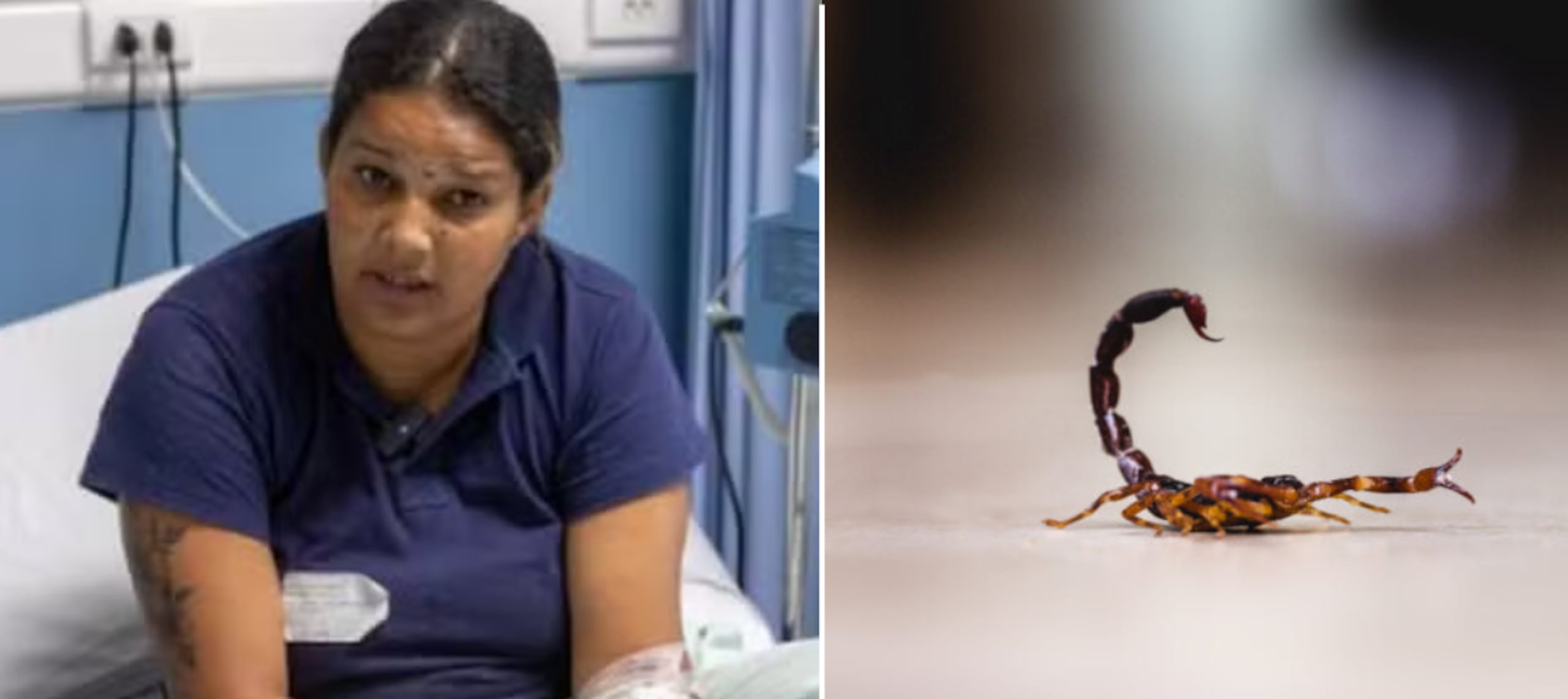 Esto fue lo que sucedió.