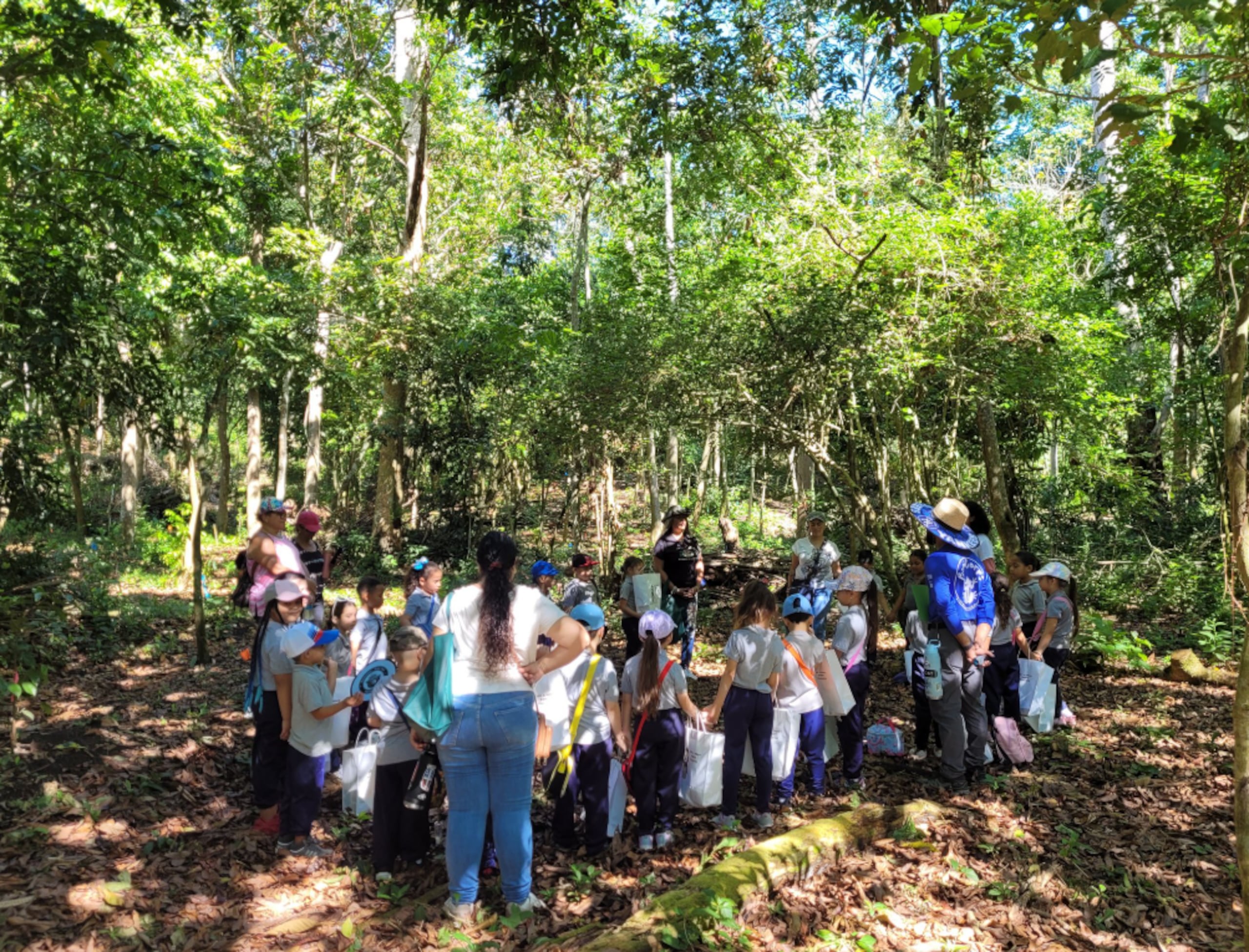 Bosque Comunitario de Río Hondo, en Mayagüez.