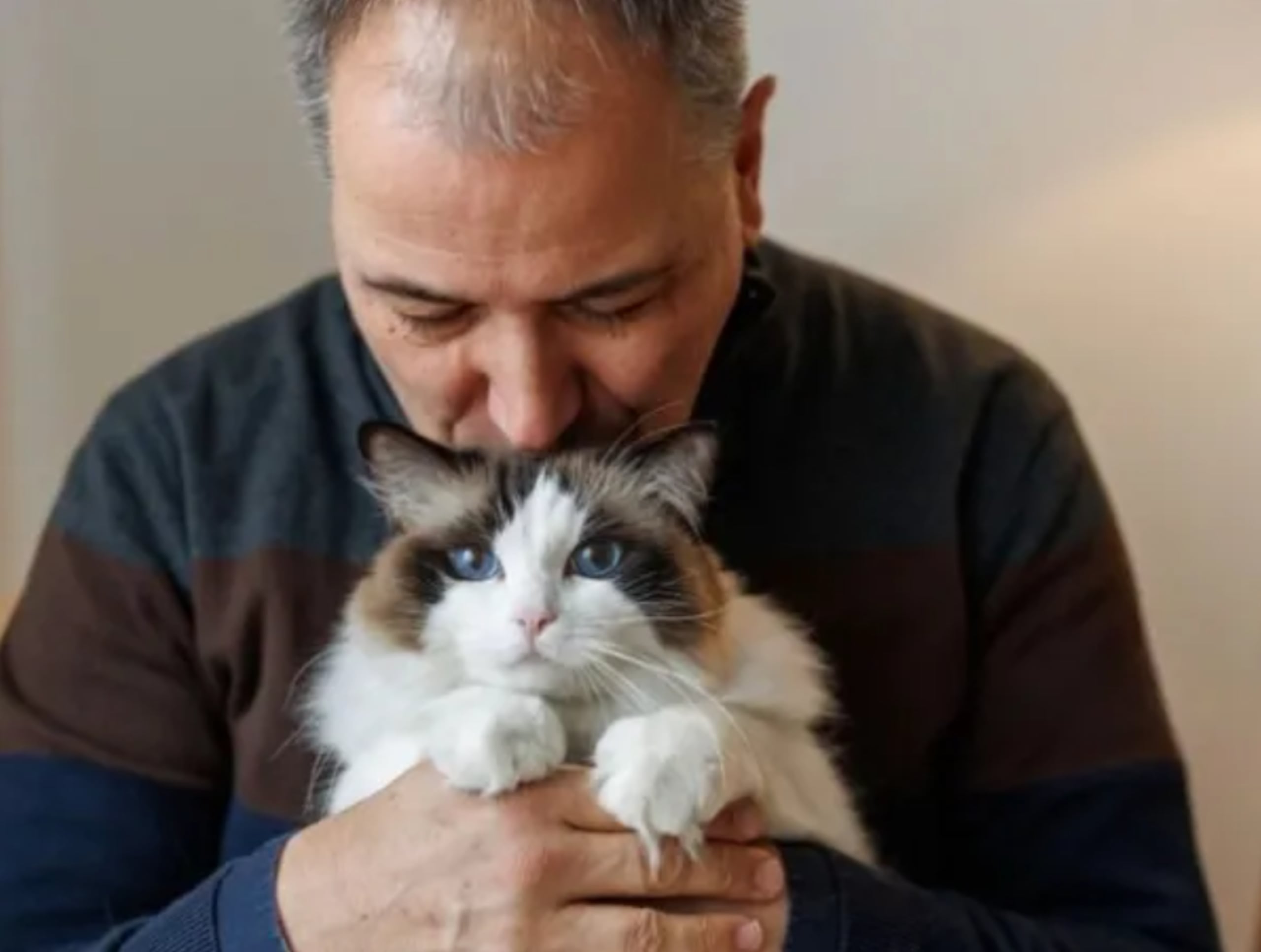 Intentás acariciarlo y se va: el error cotidiano que incomoda a los gatos.