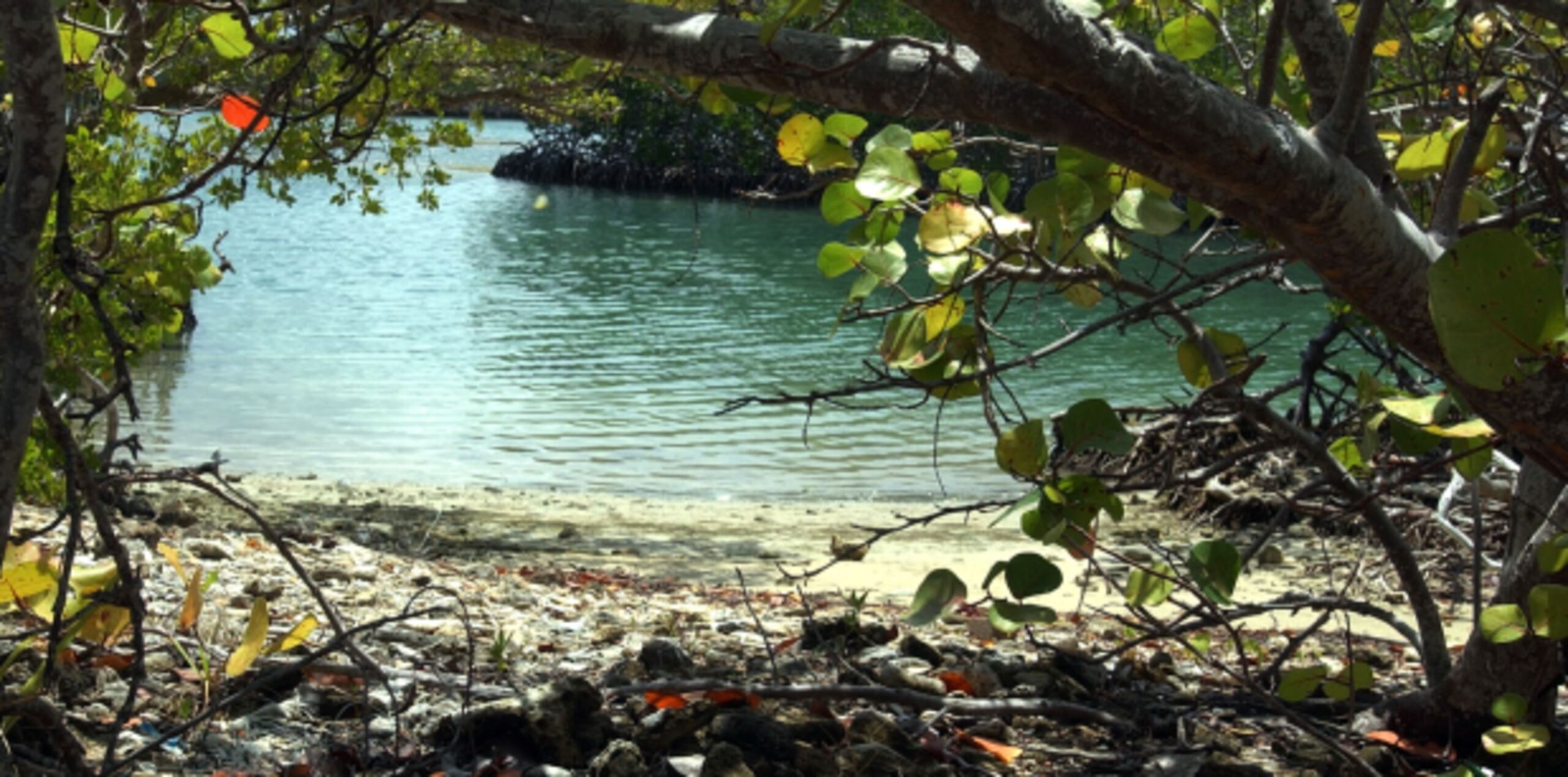 La tragedia ocurrió en las inmediaciones de Cayo Matías, en Salinas. (Archivo)