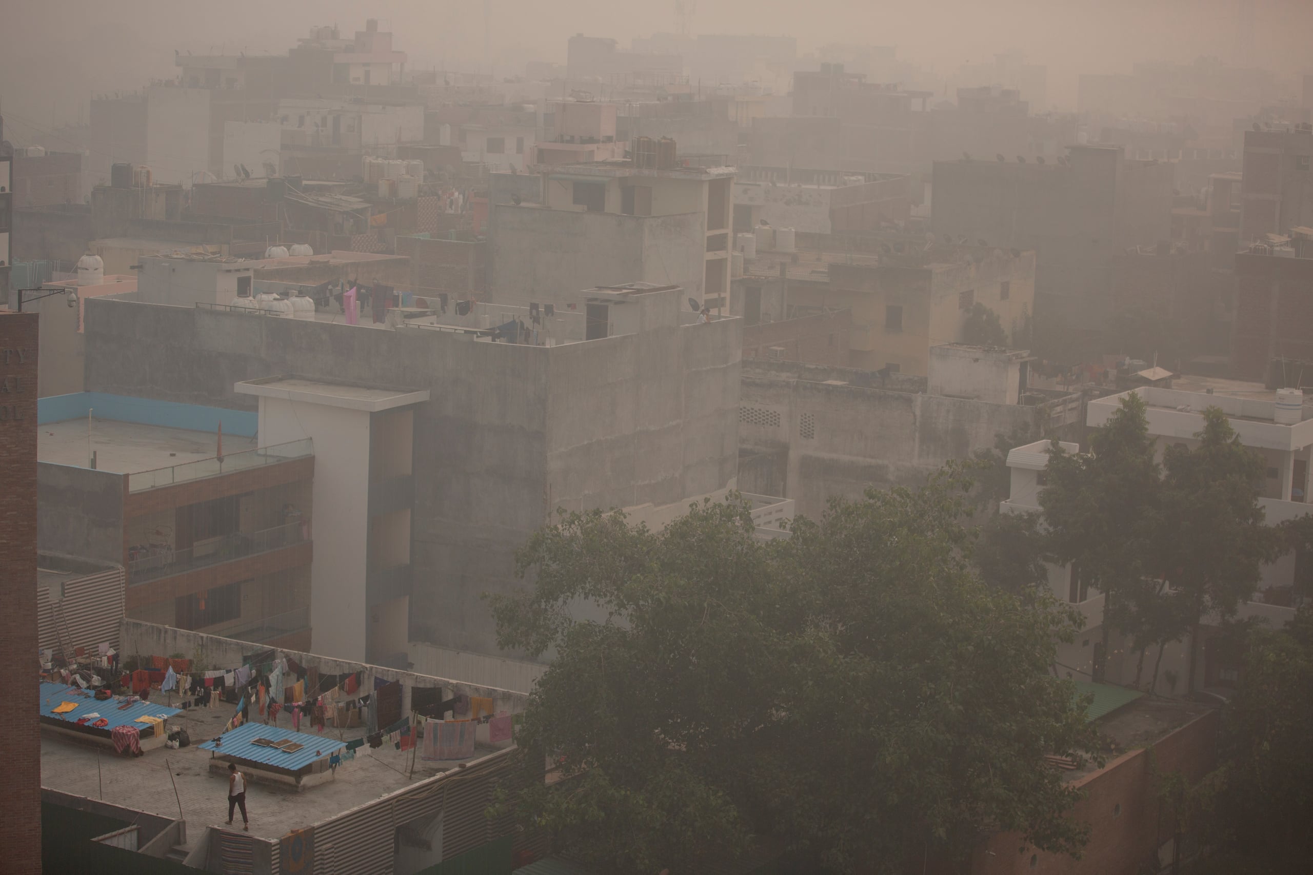 La contaminación del aire de la India proviene principalmente de los vehículos que queman diésel, las centrales eléctricas de carbón y la quema de cultivos. (AP)
